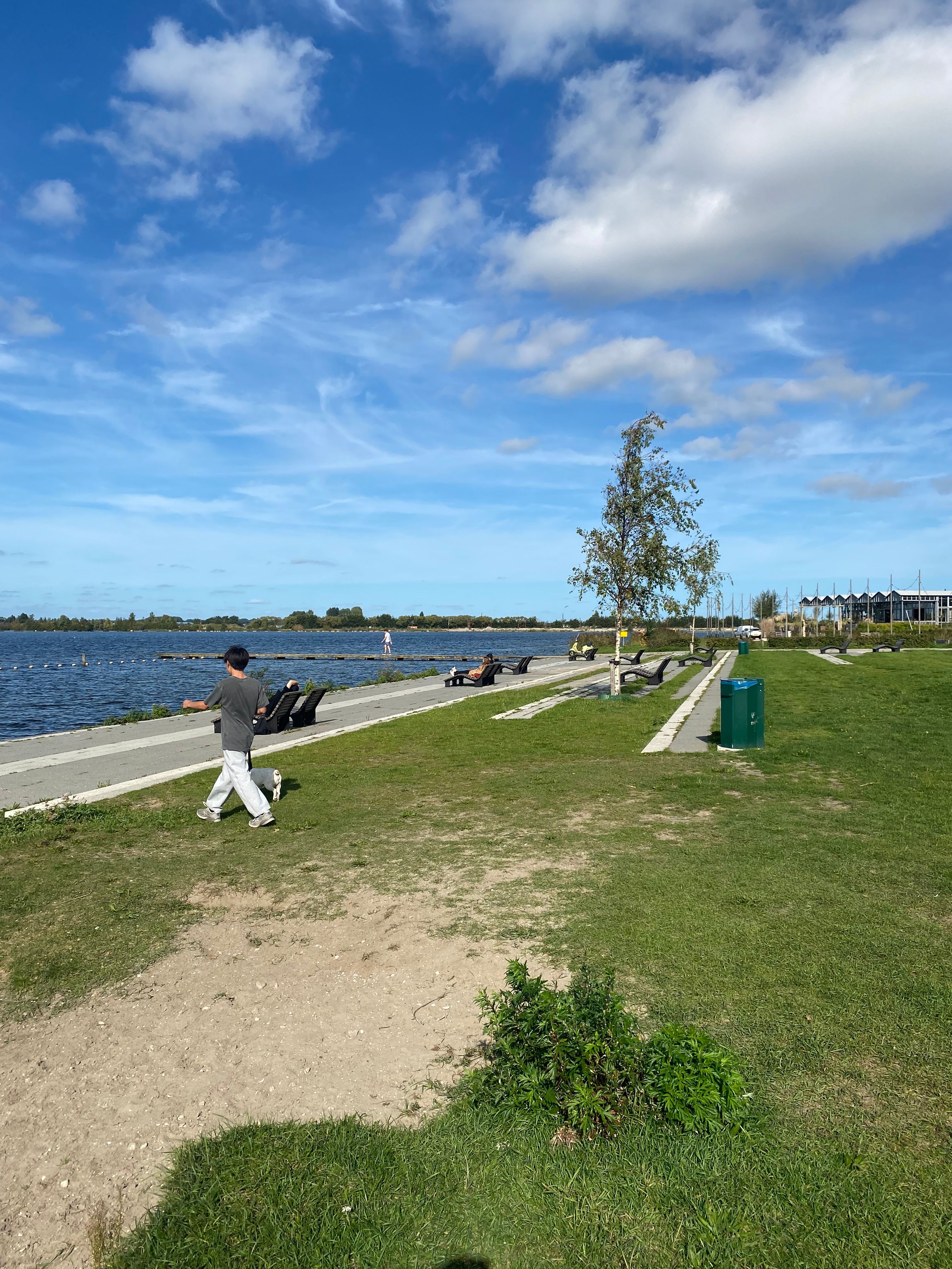 image-17