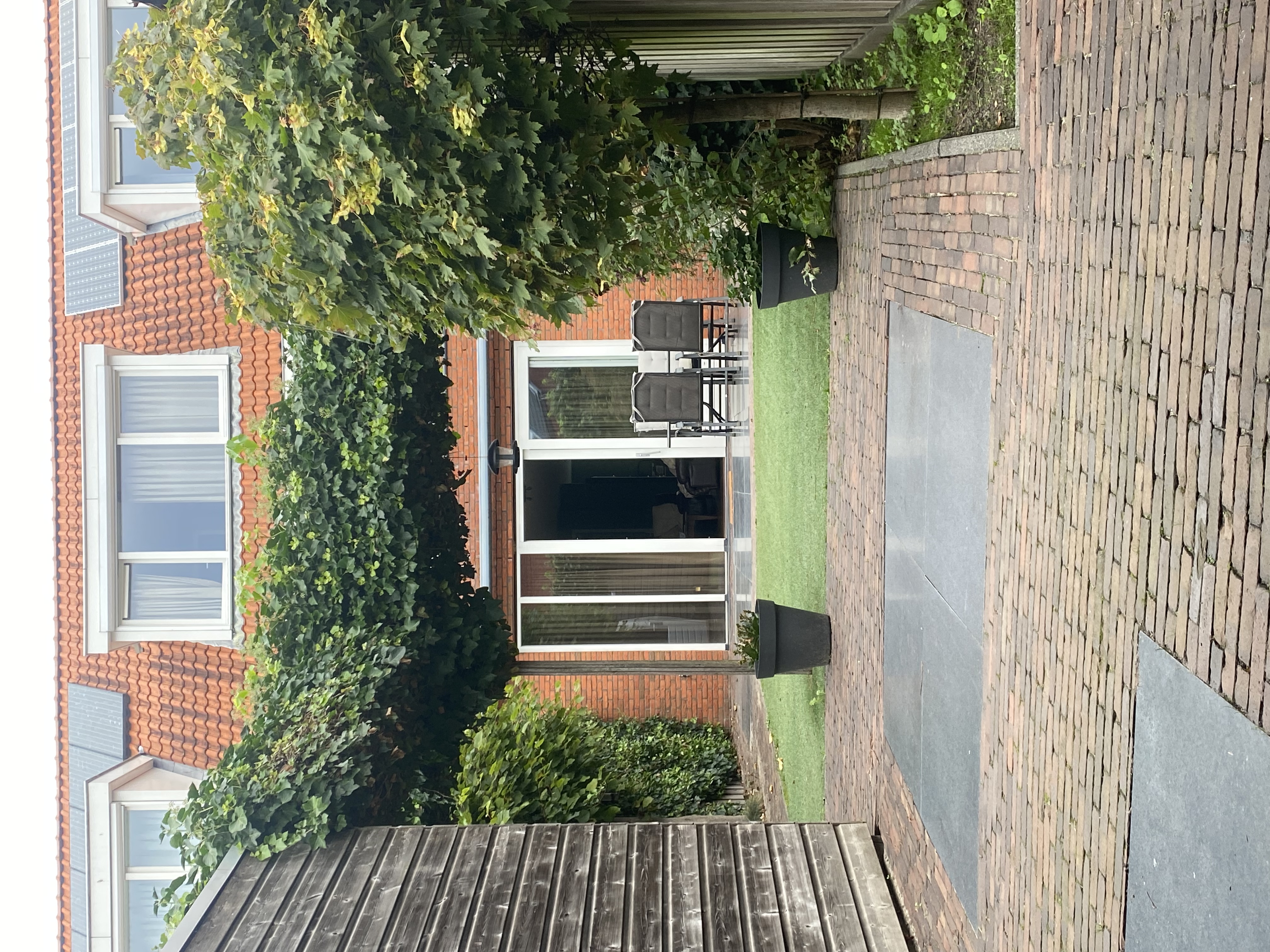image-15