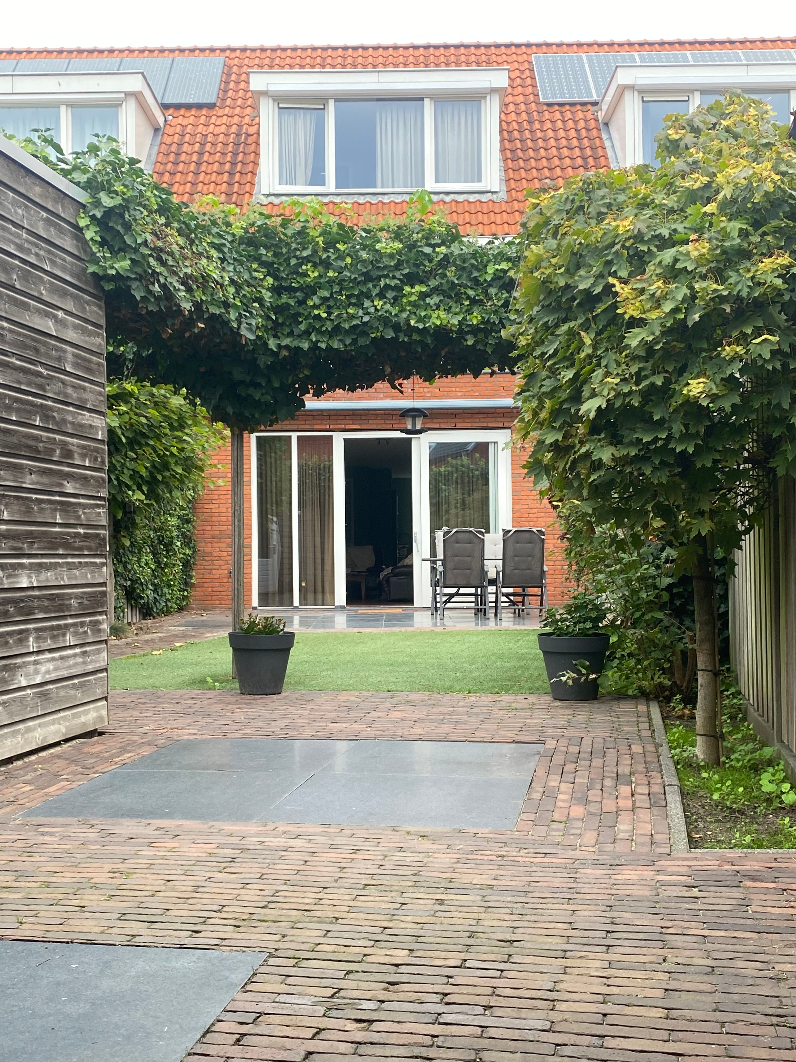 image-15