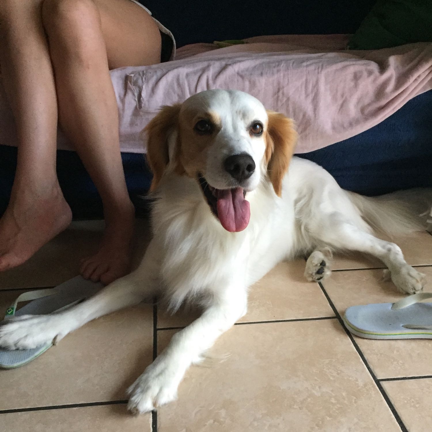 Milo