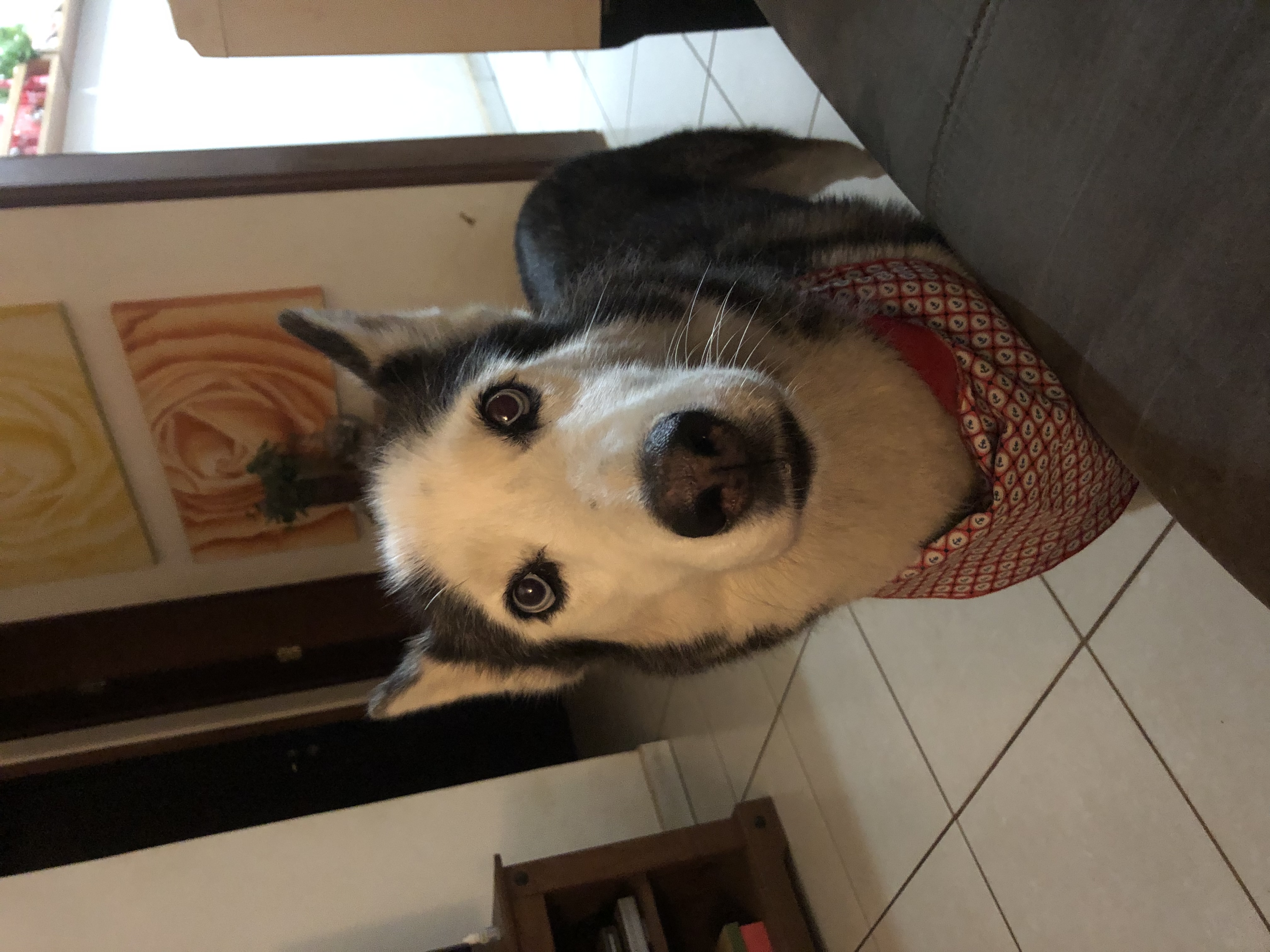 image-5