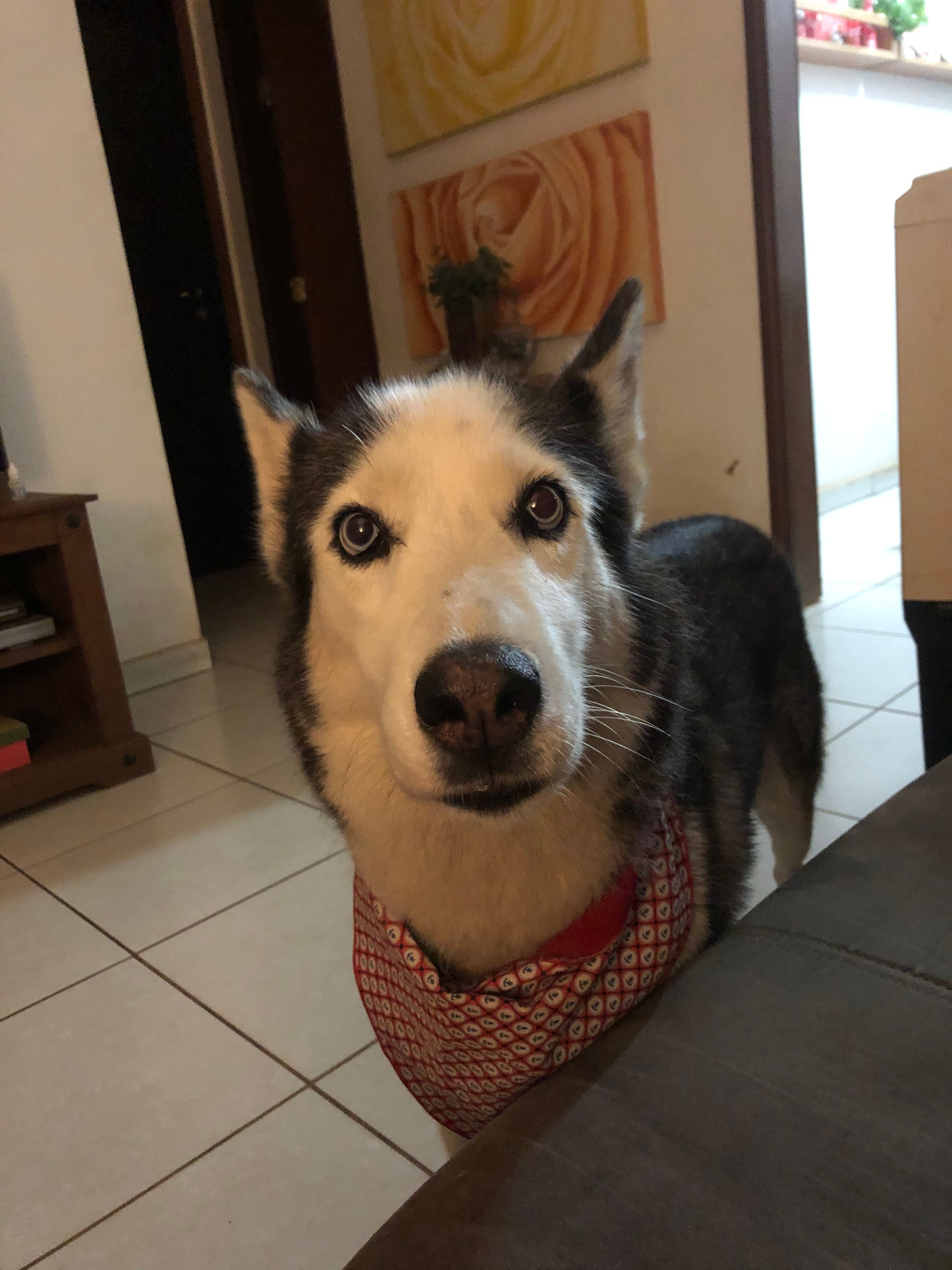 image-5