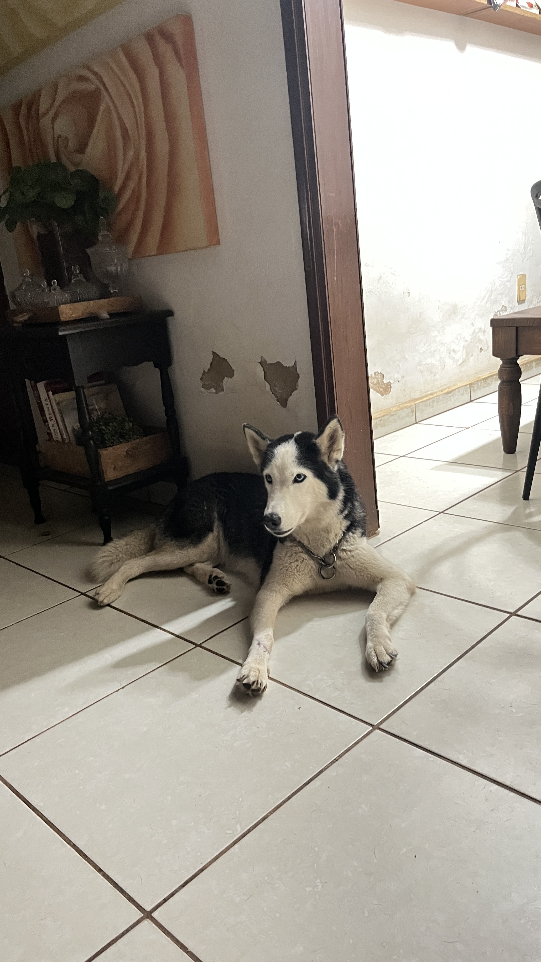 image-7