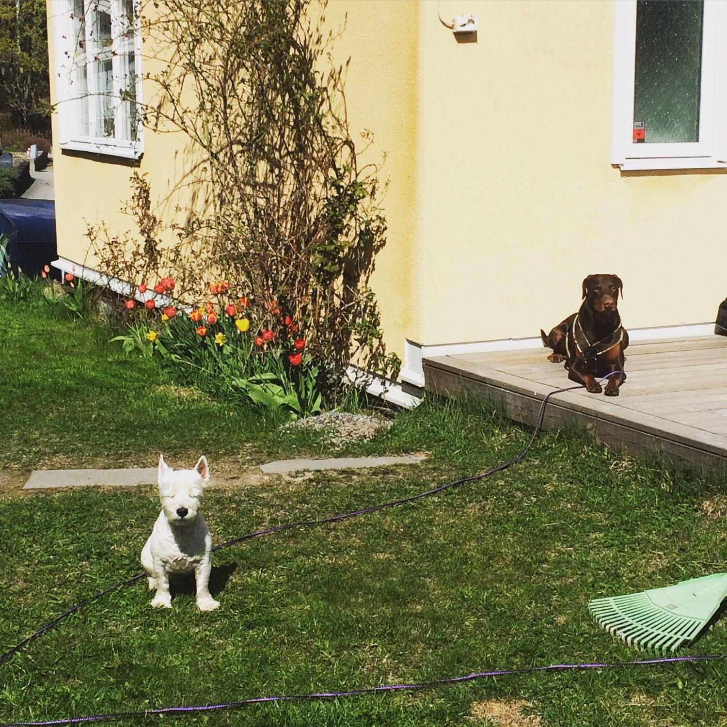 image-8