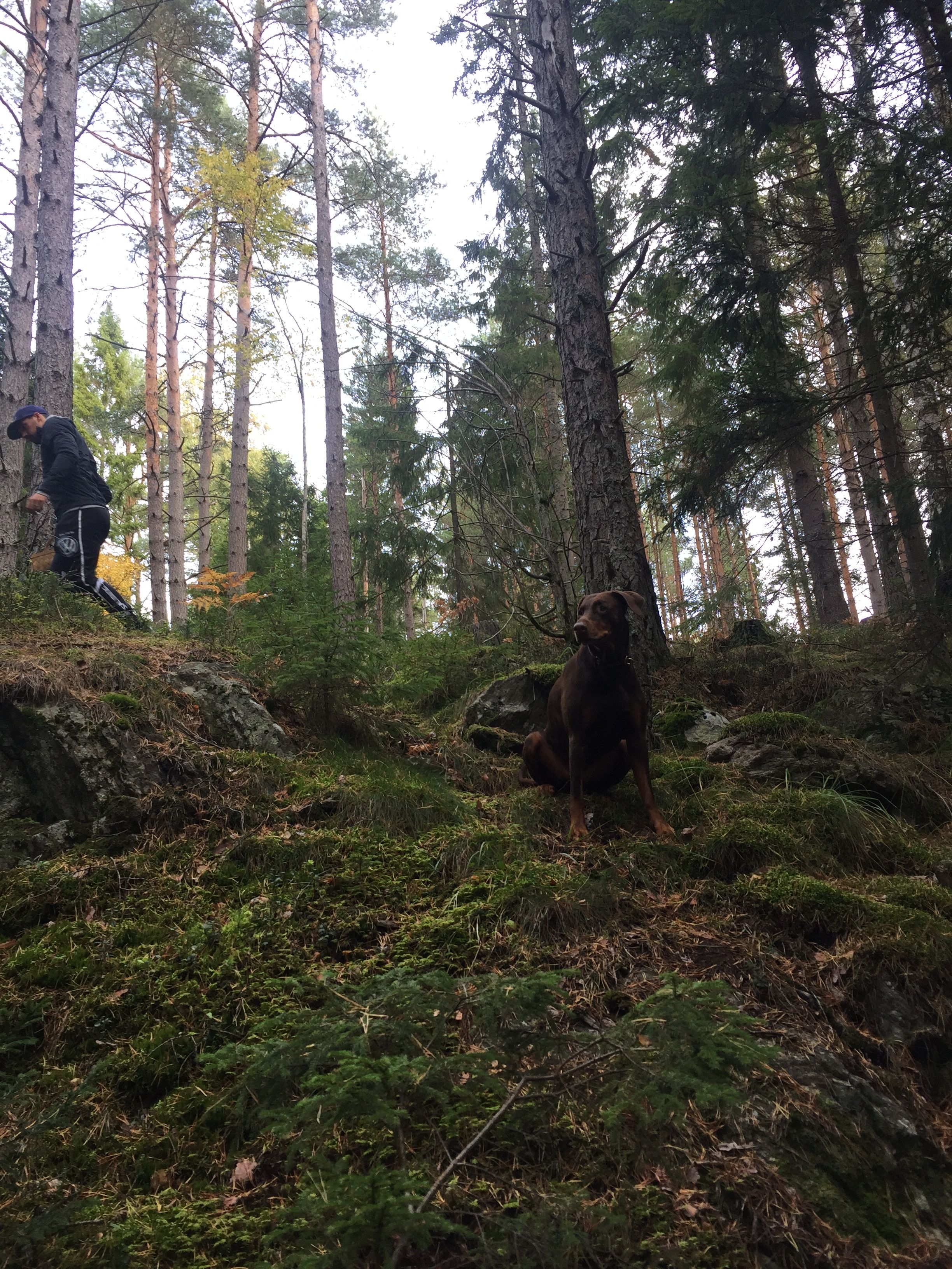 image-4