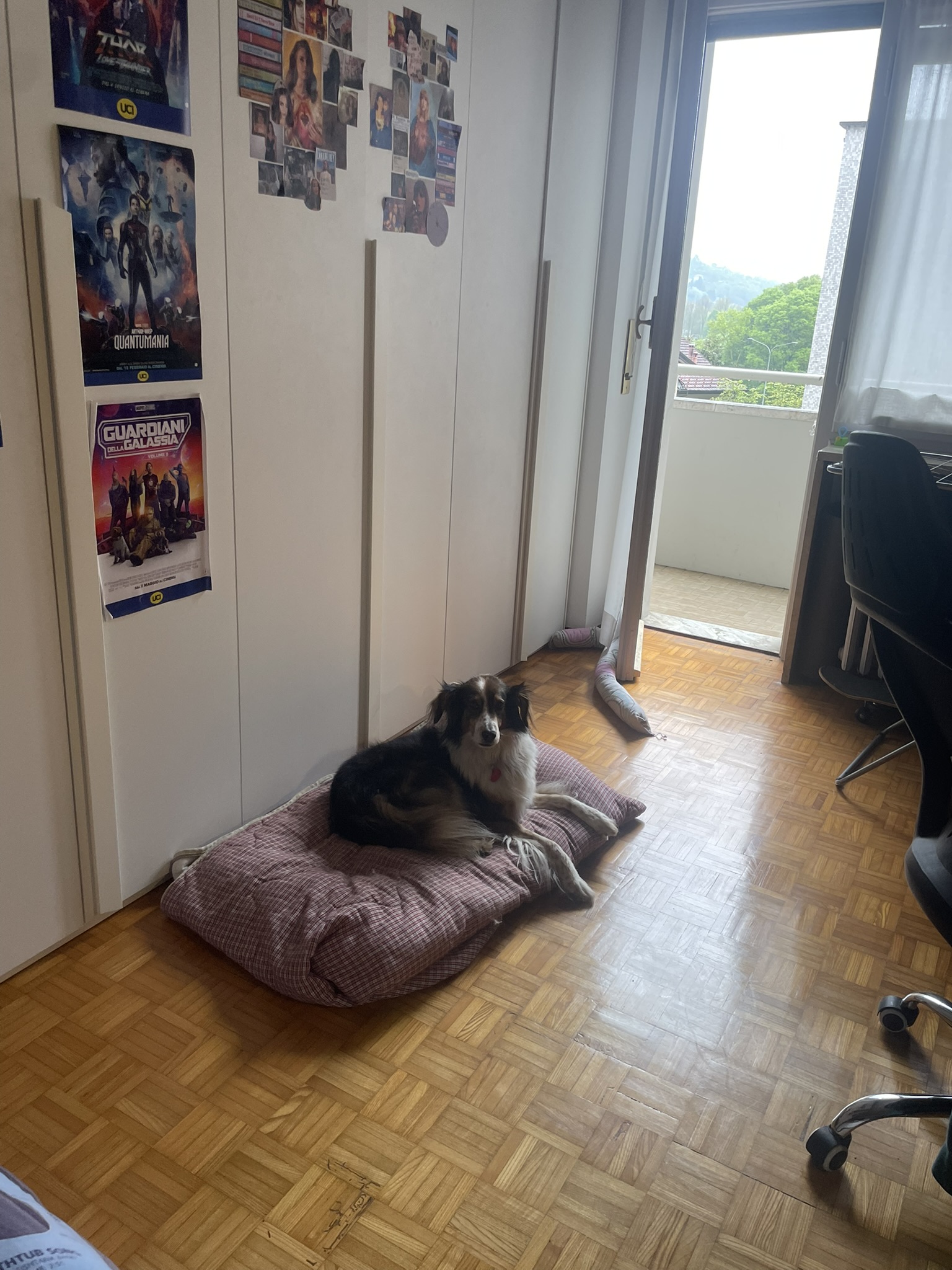 image-9