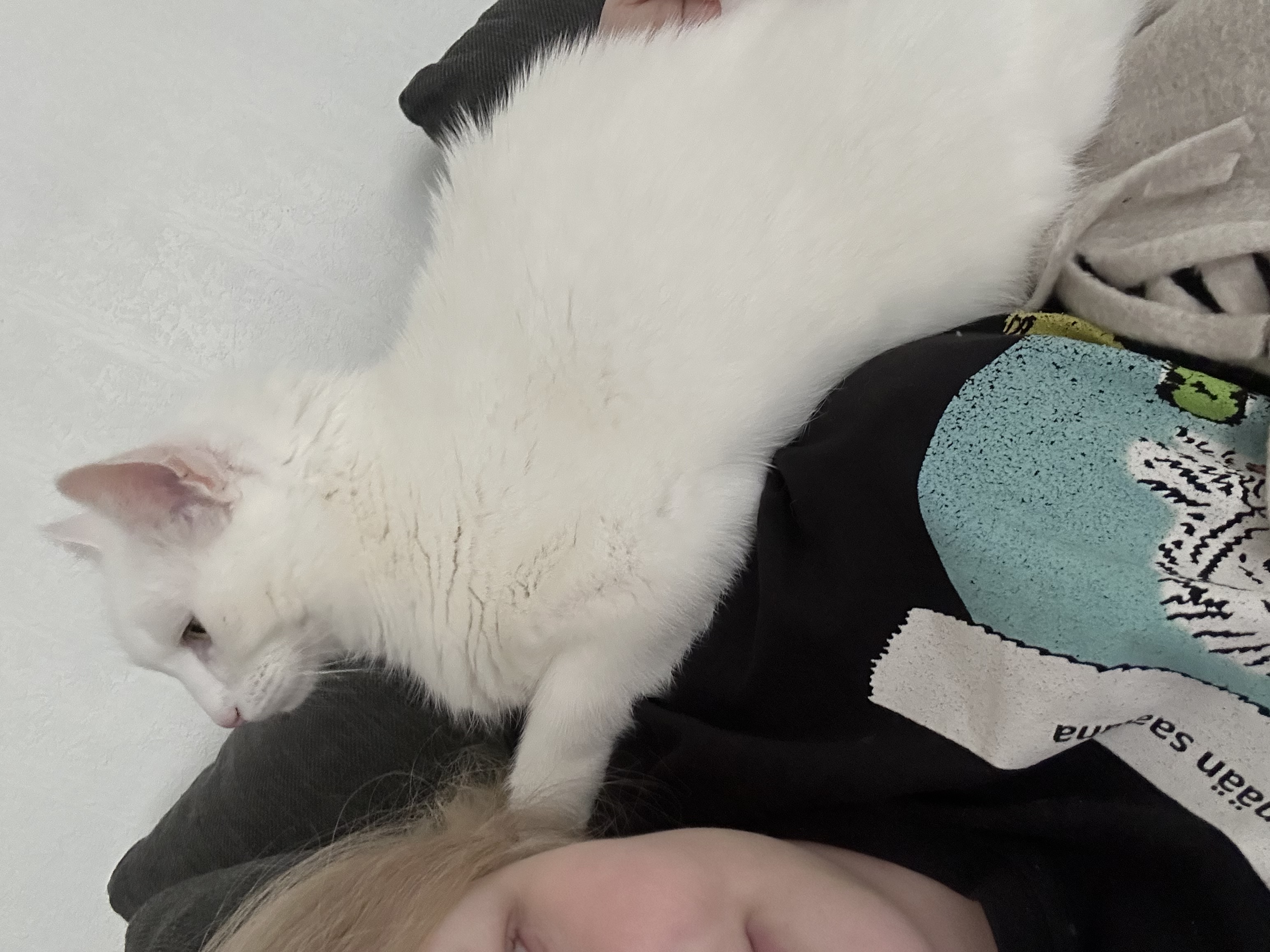 image-6