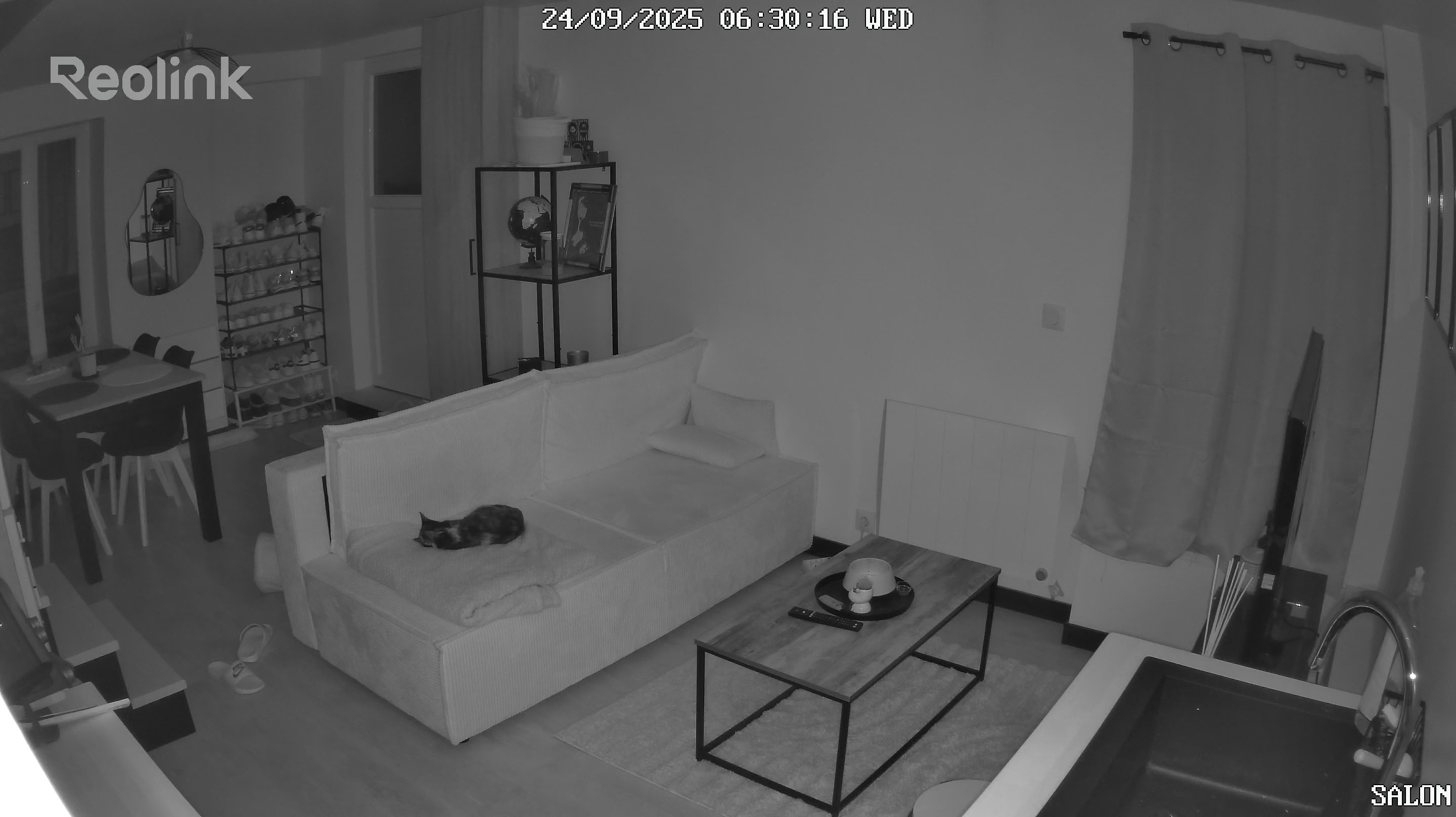 image-7