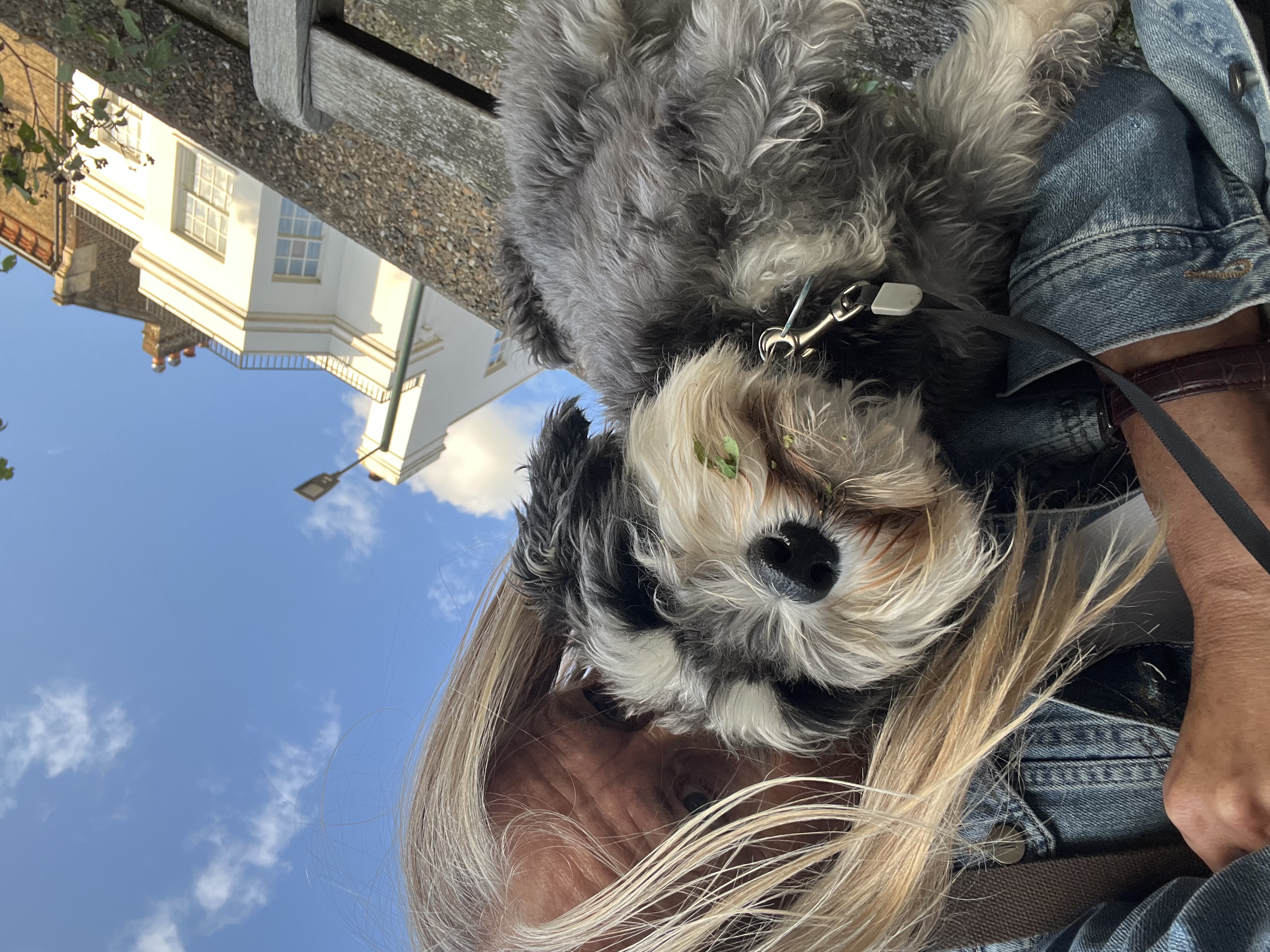 image-8