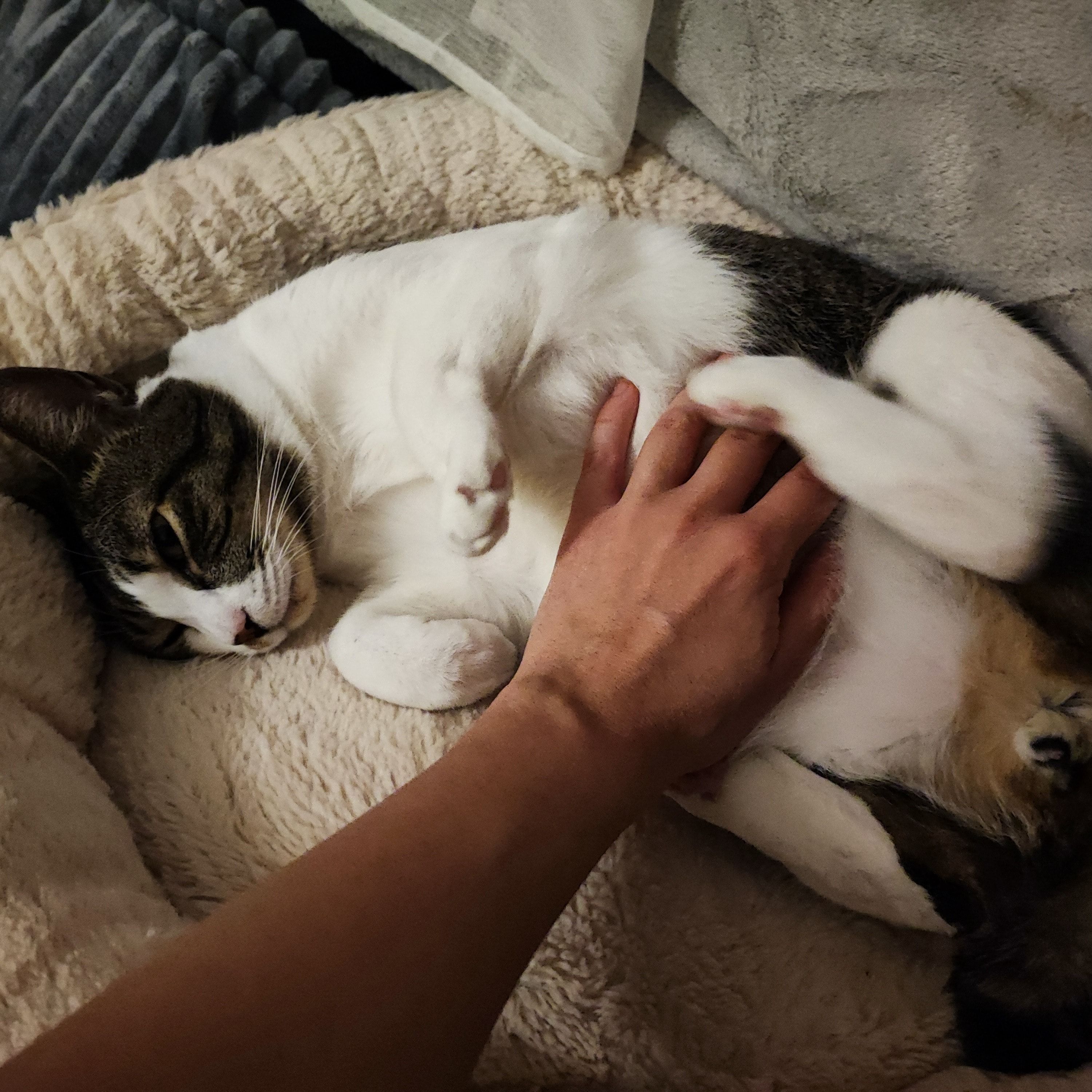 image-6
