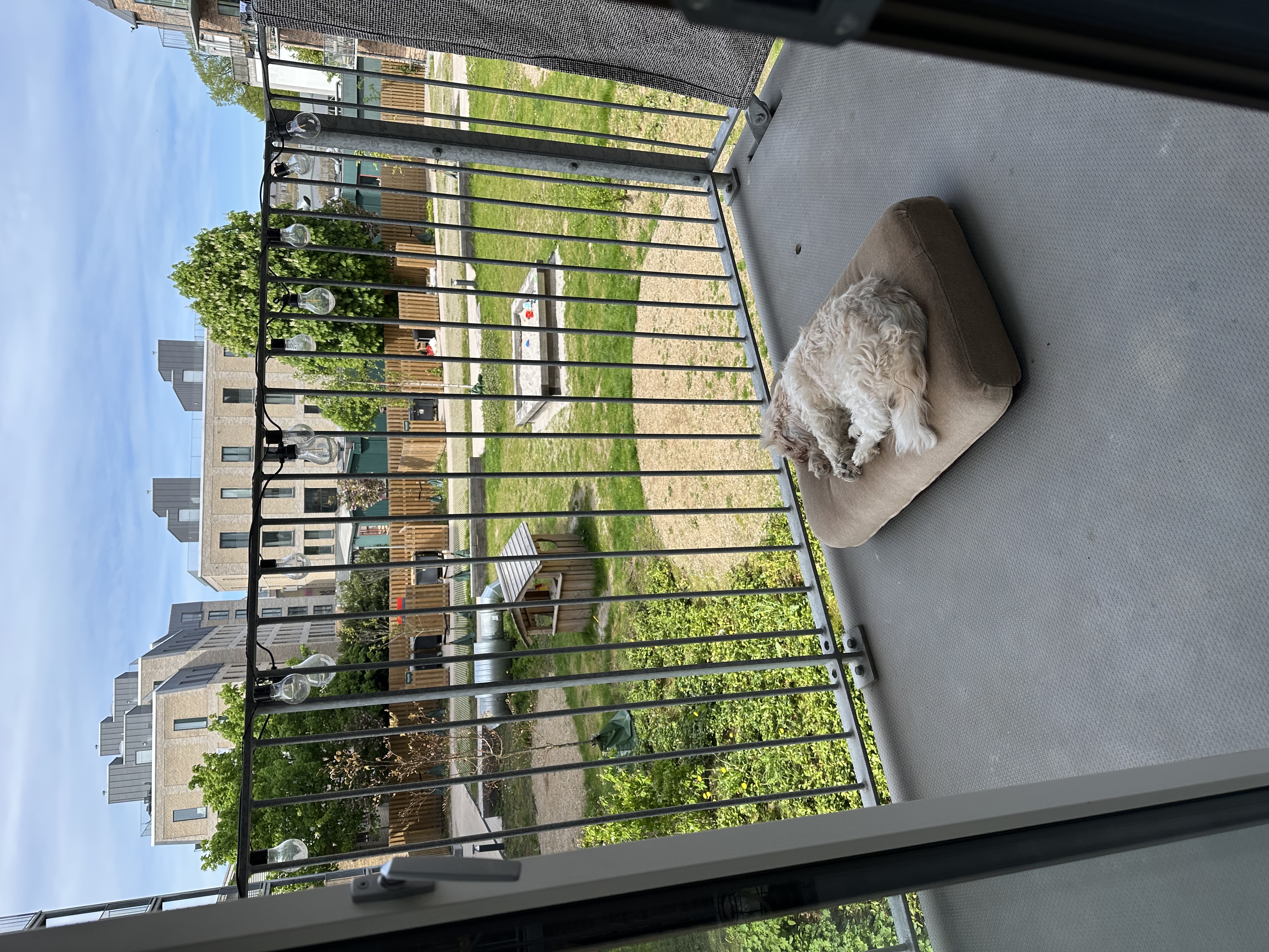 image-18