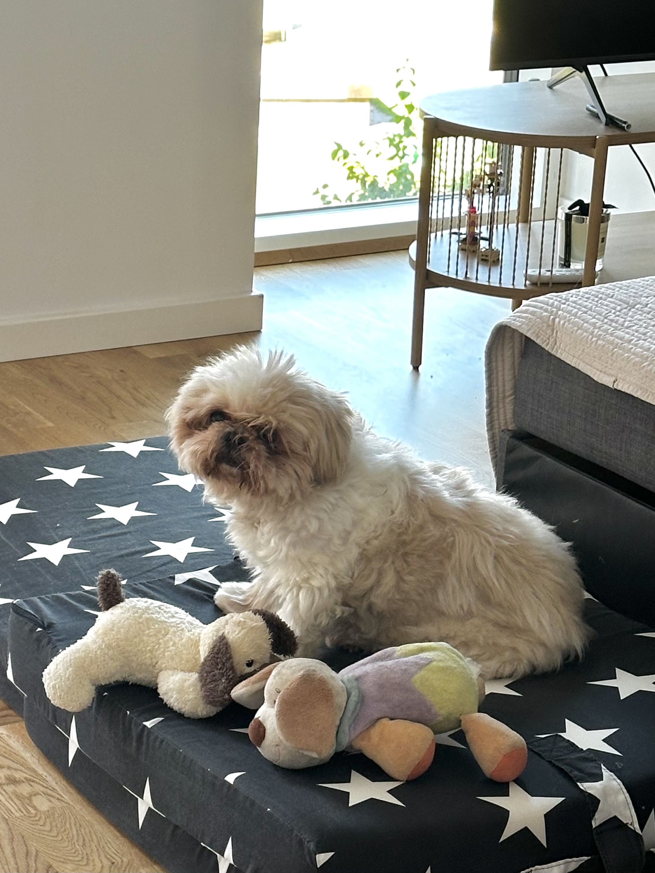 image-11
