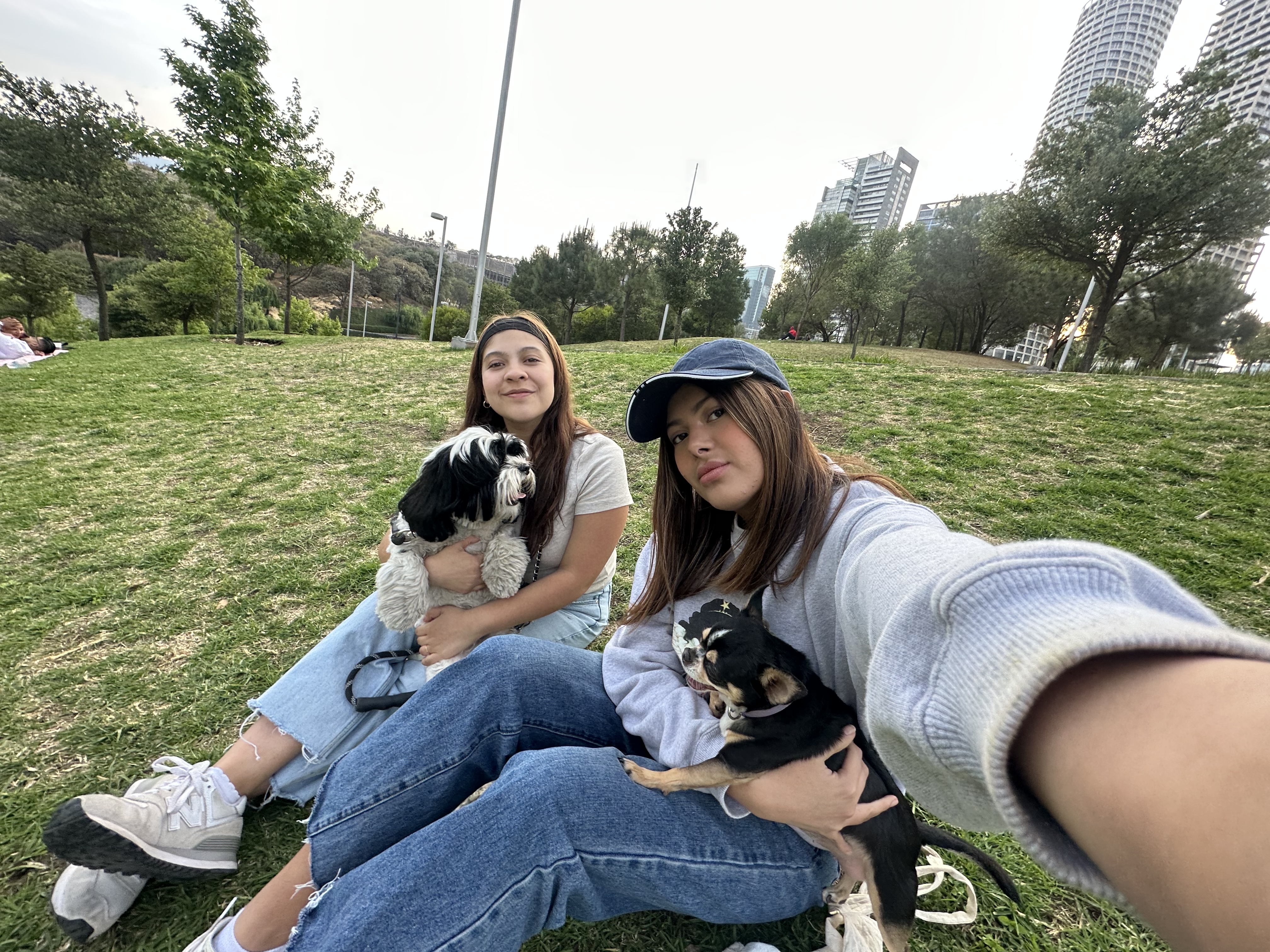 image-5