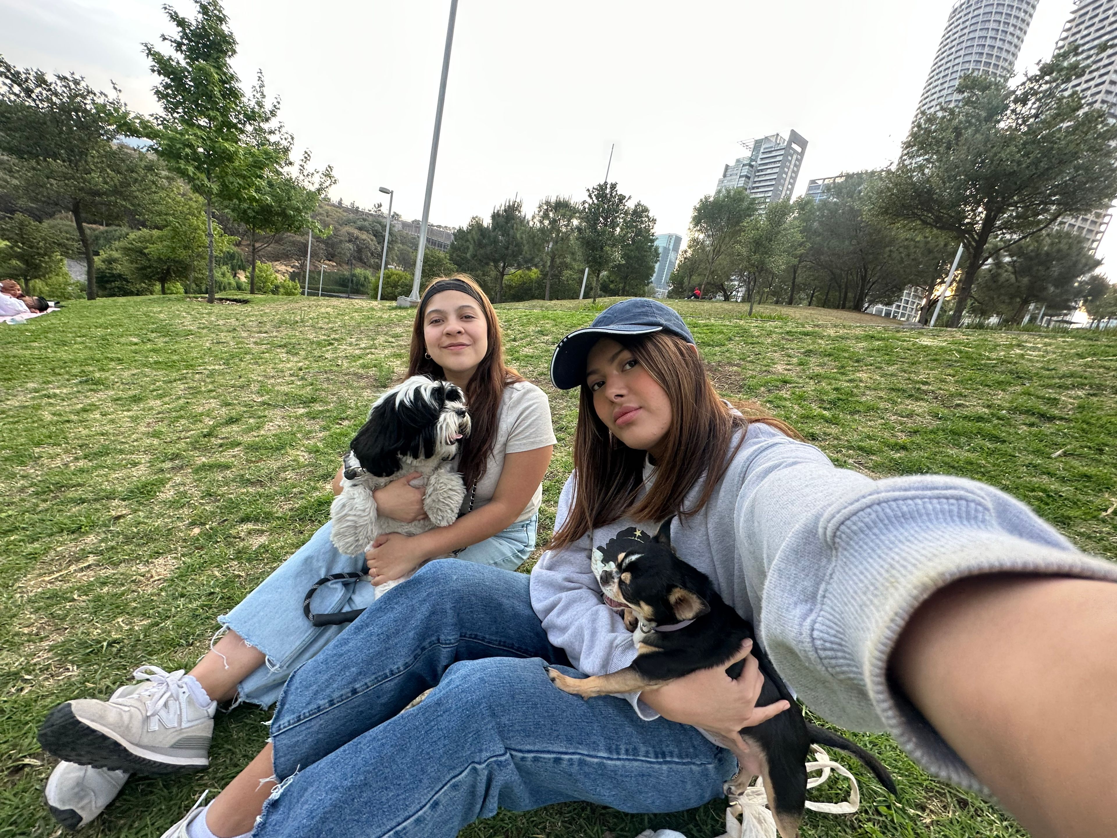 image-5