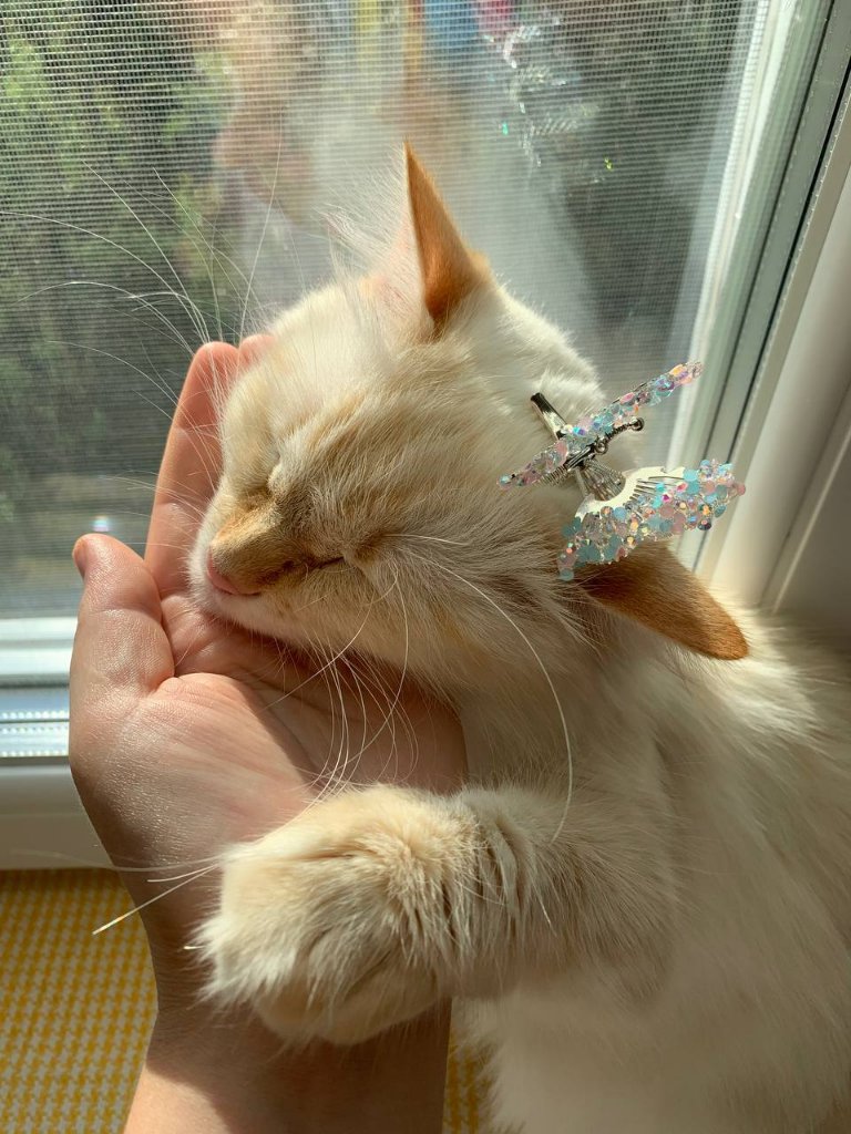 Mia