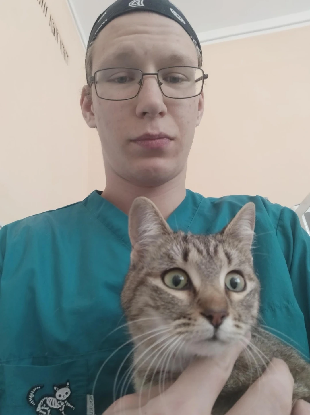image-8