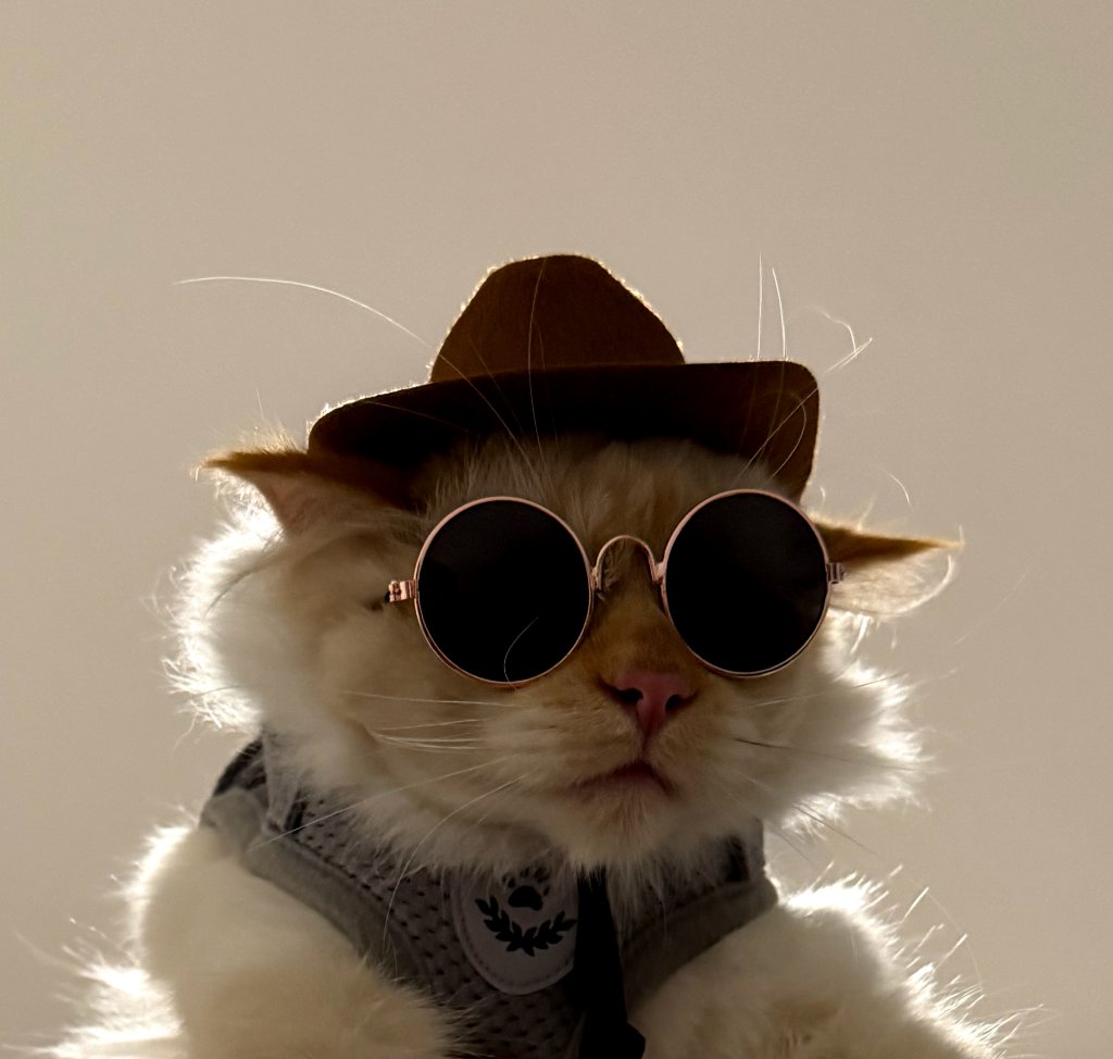 Oliver