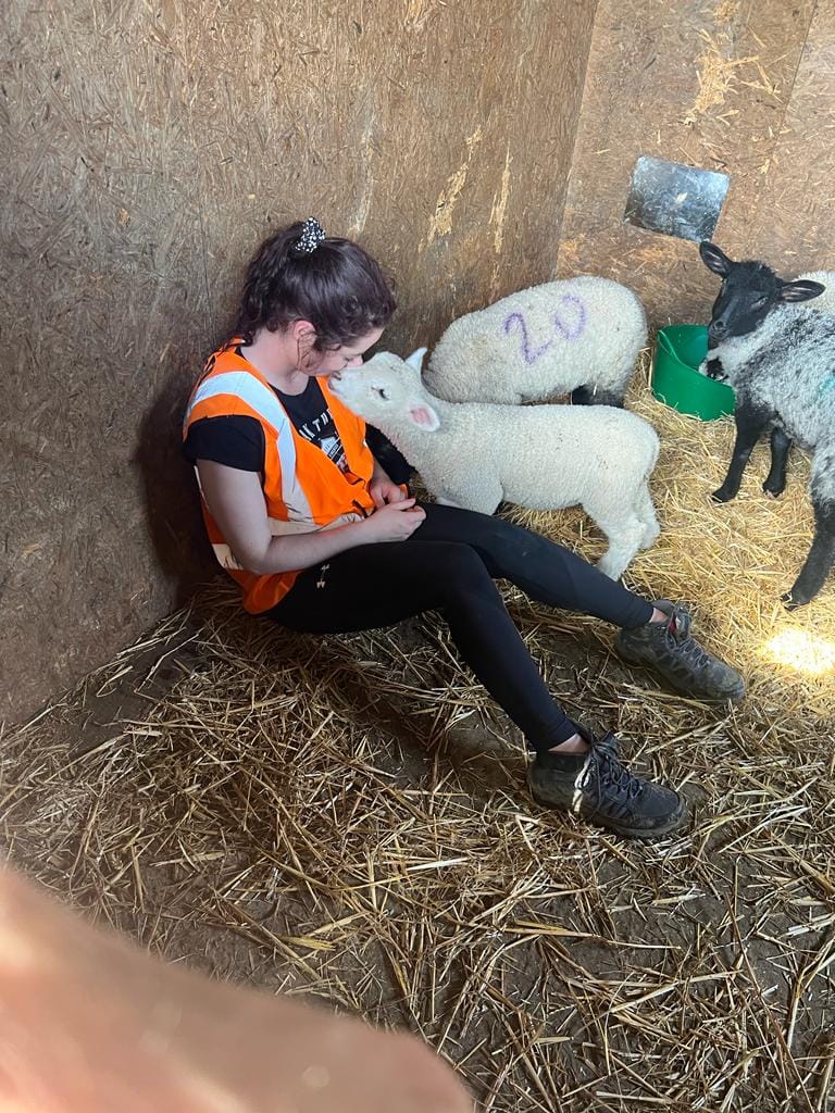 image-6