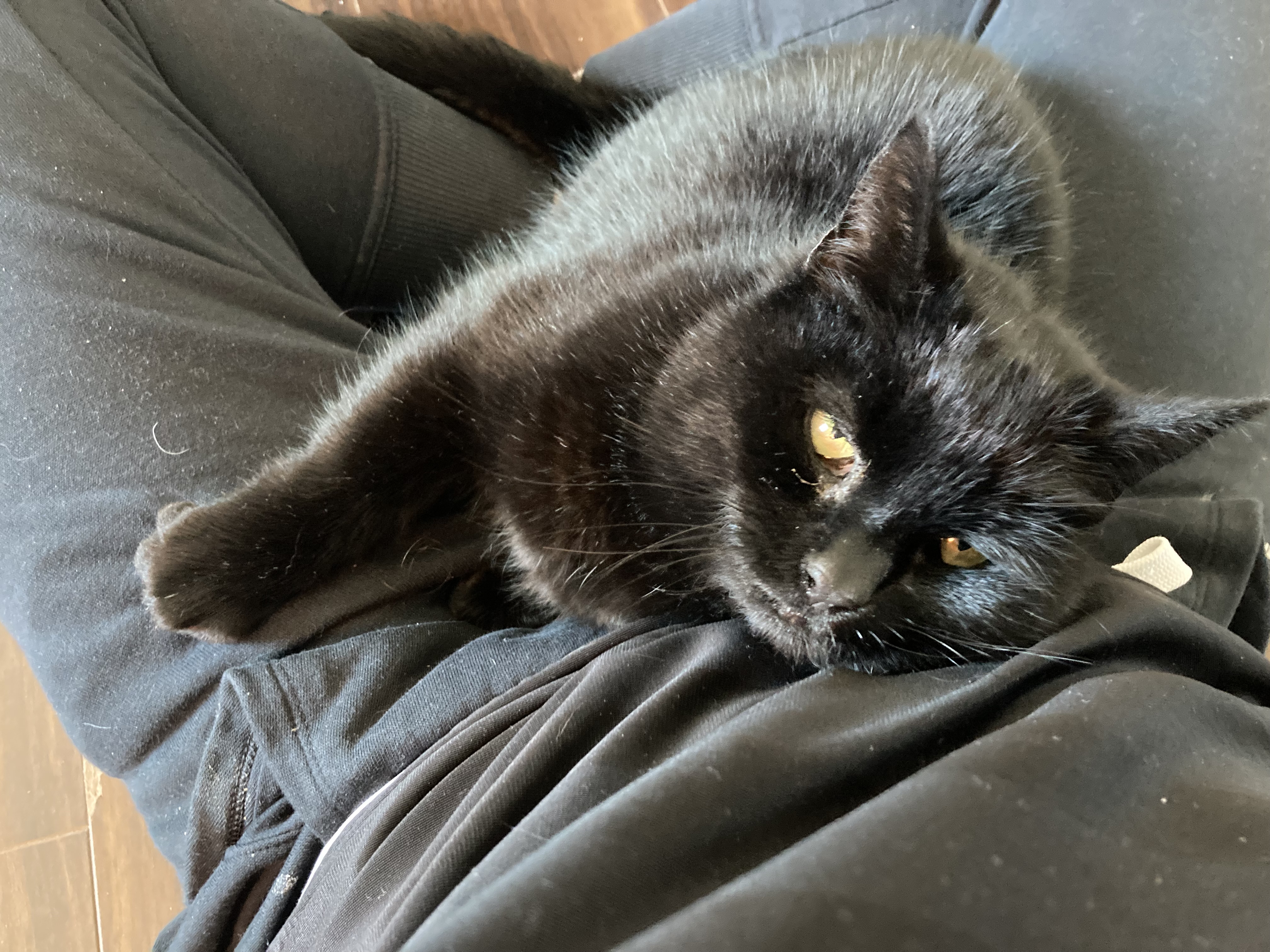 image-4