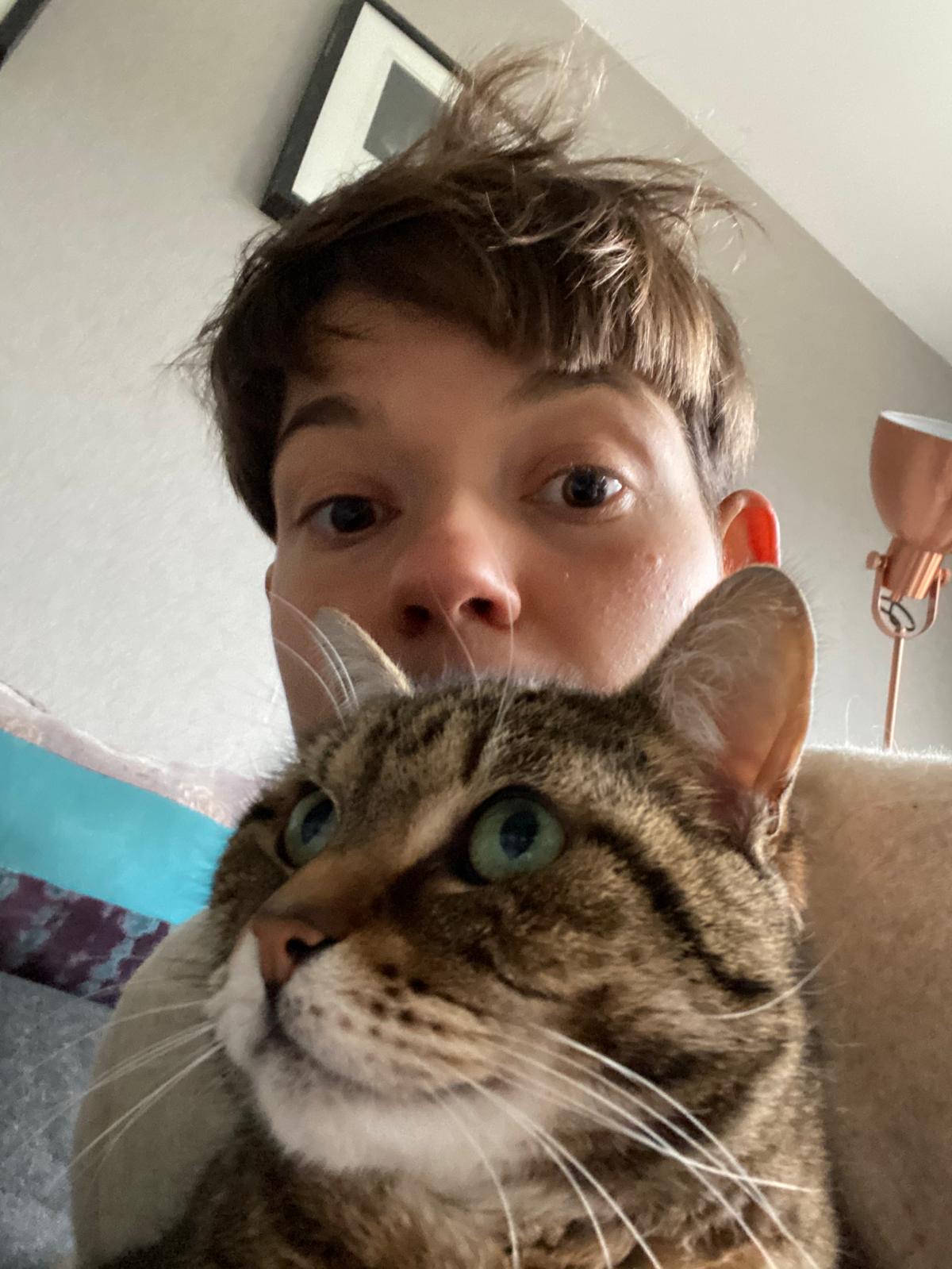 image-11