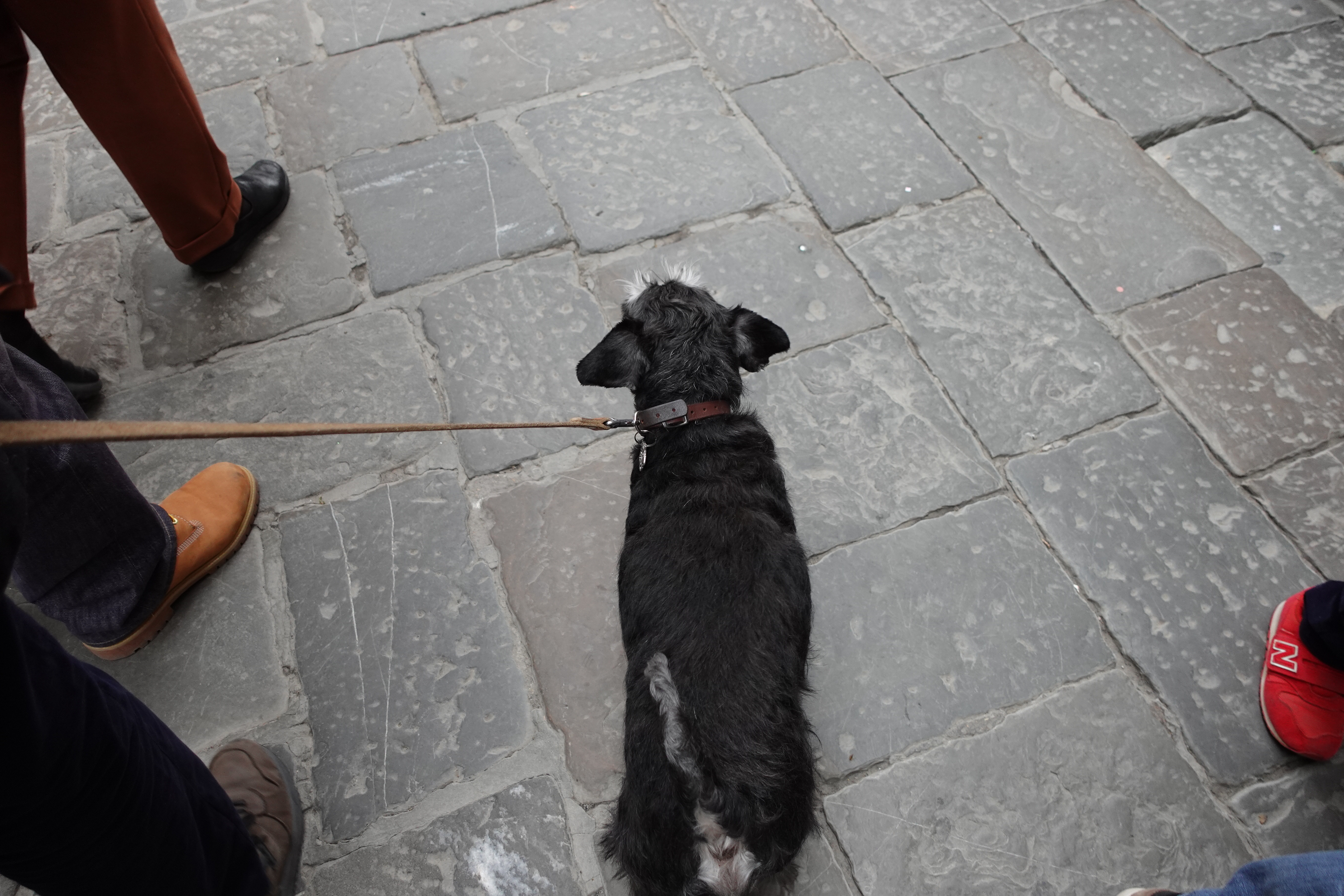 image-17