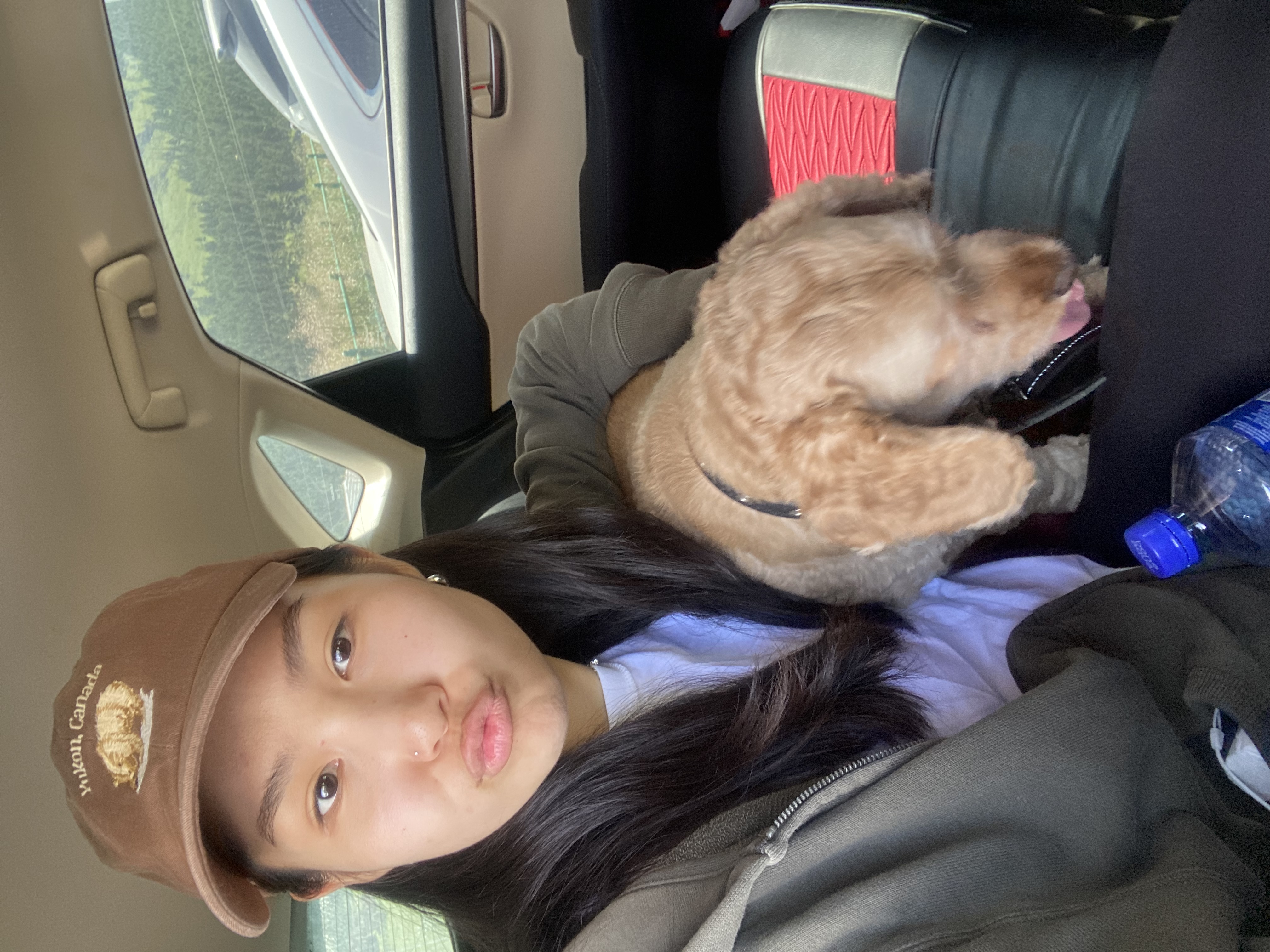 image-10