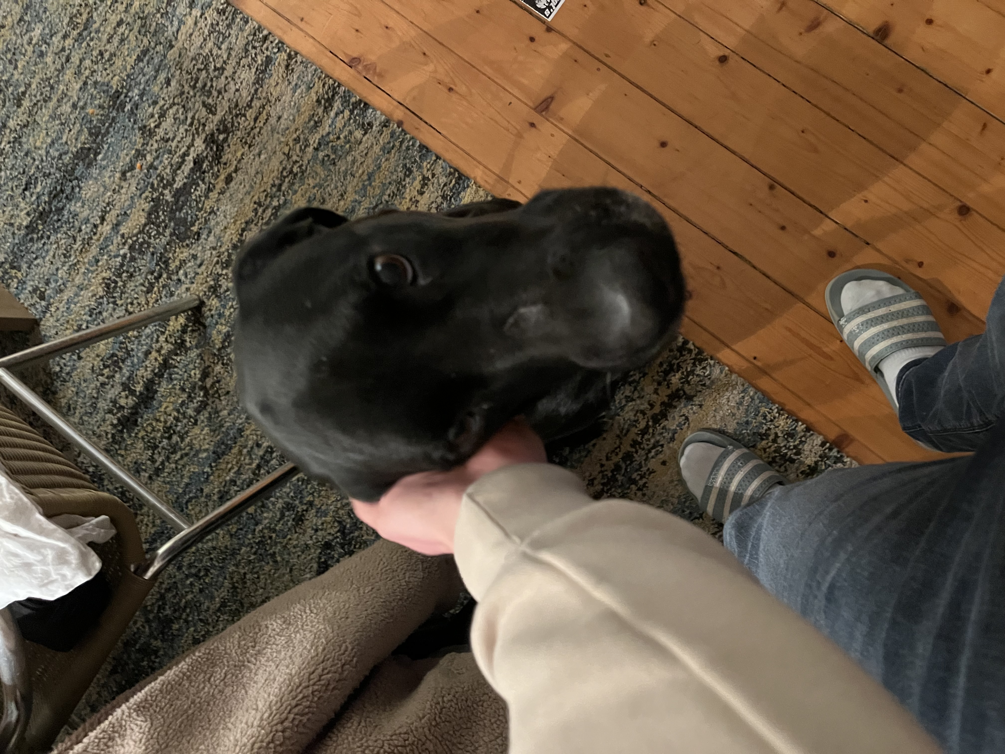 image-6