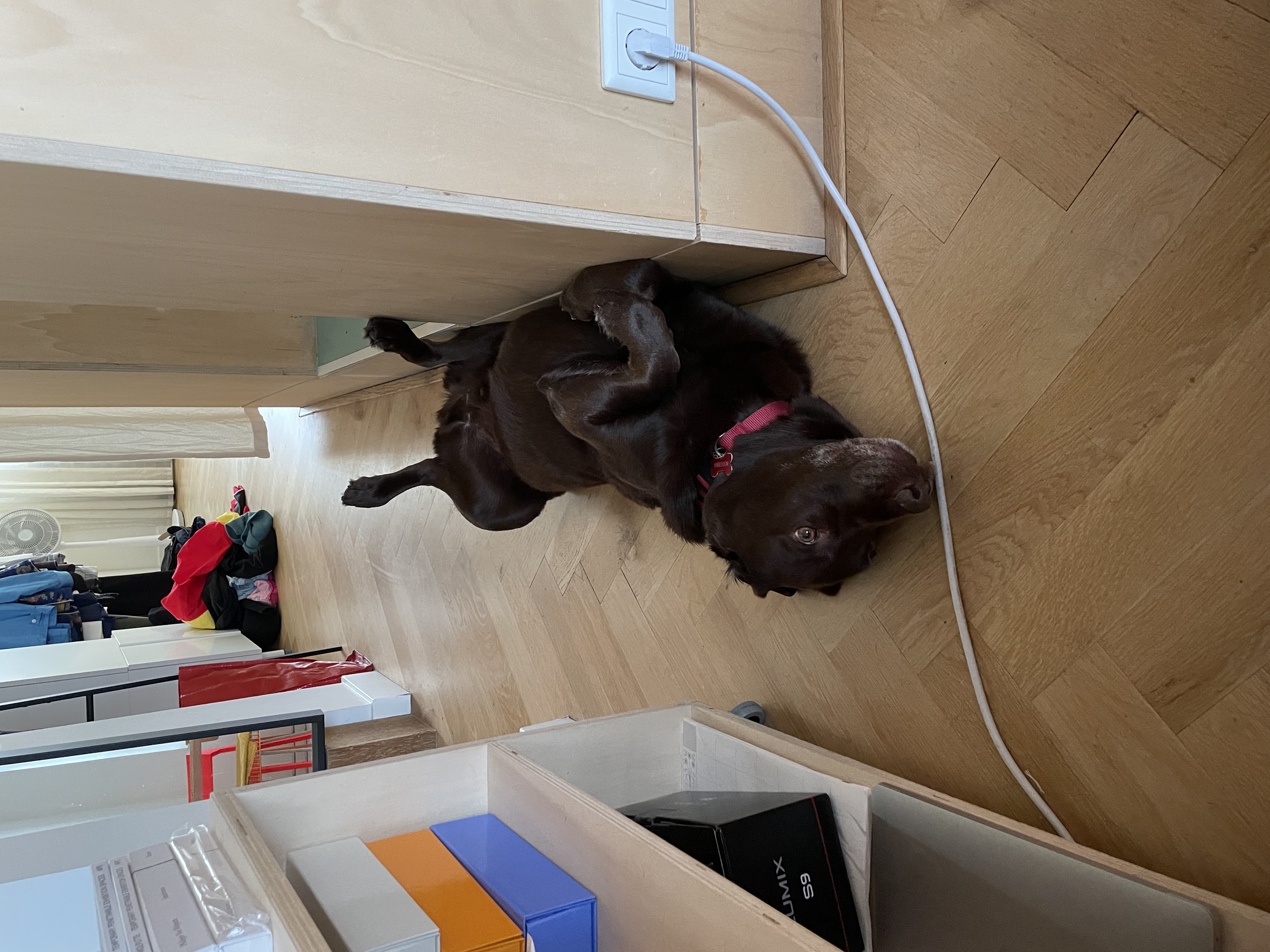 image-34