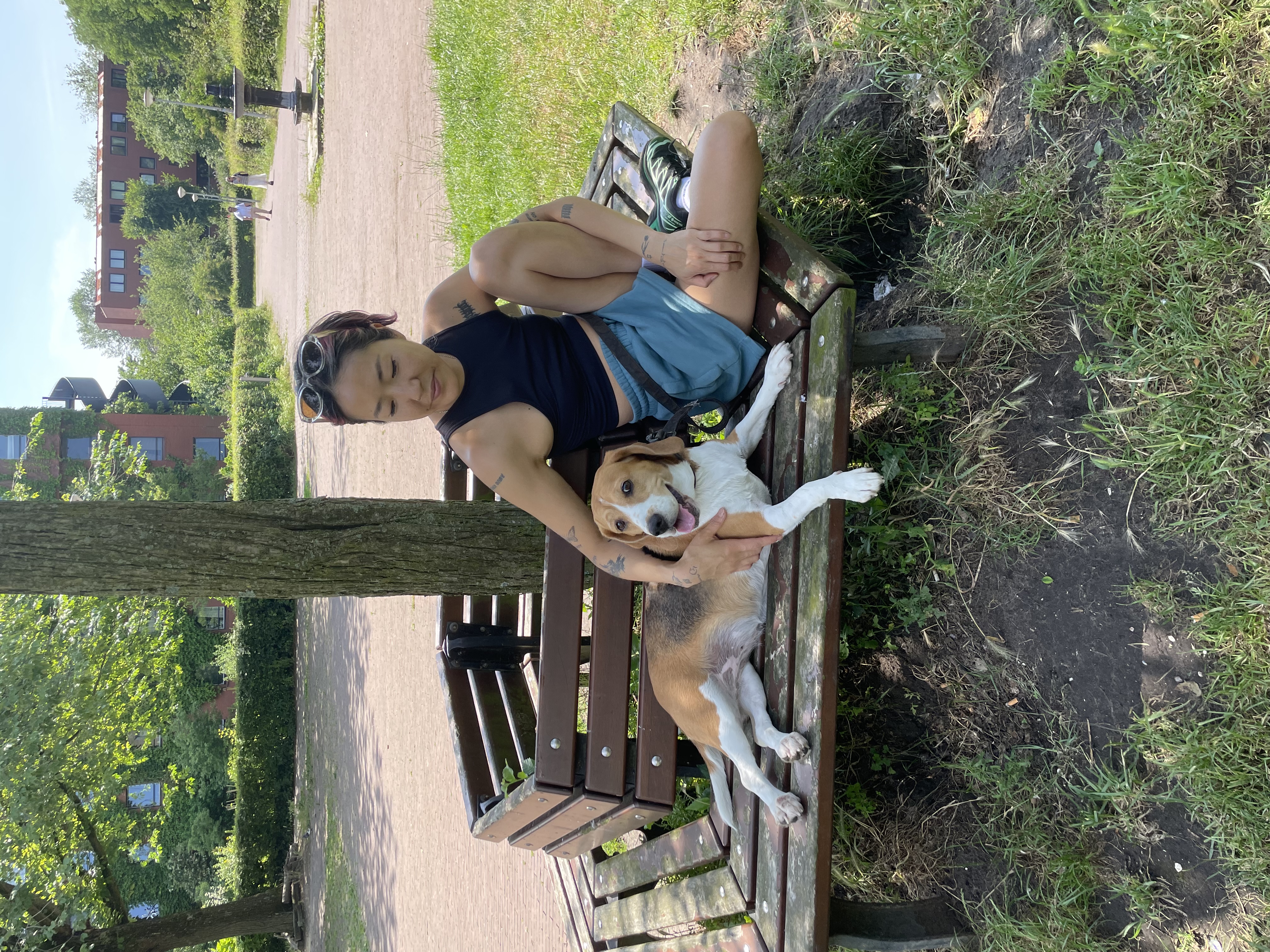 image-22