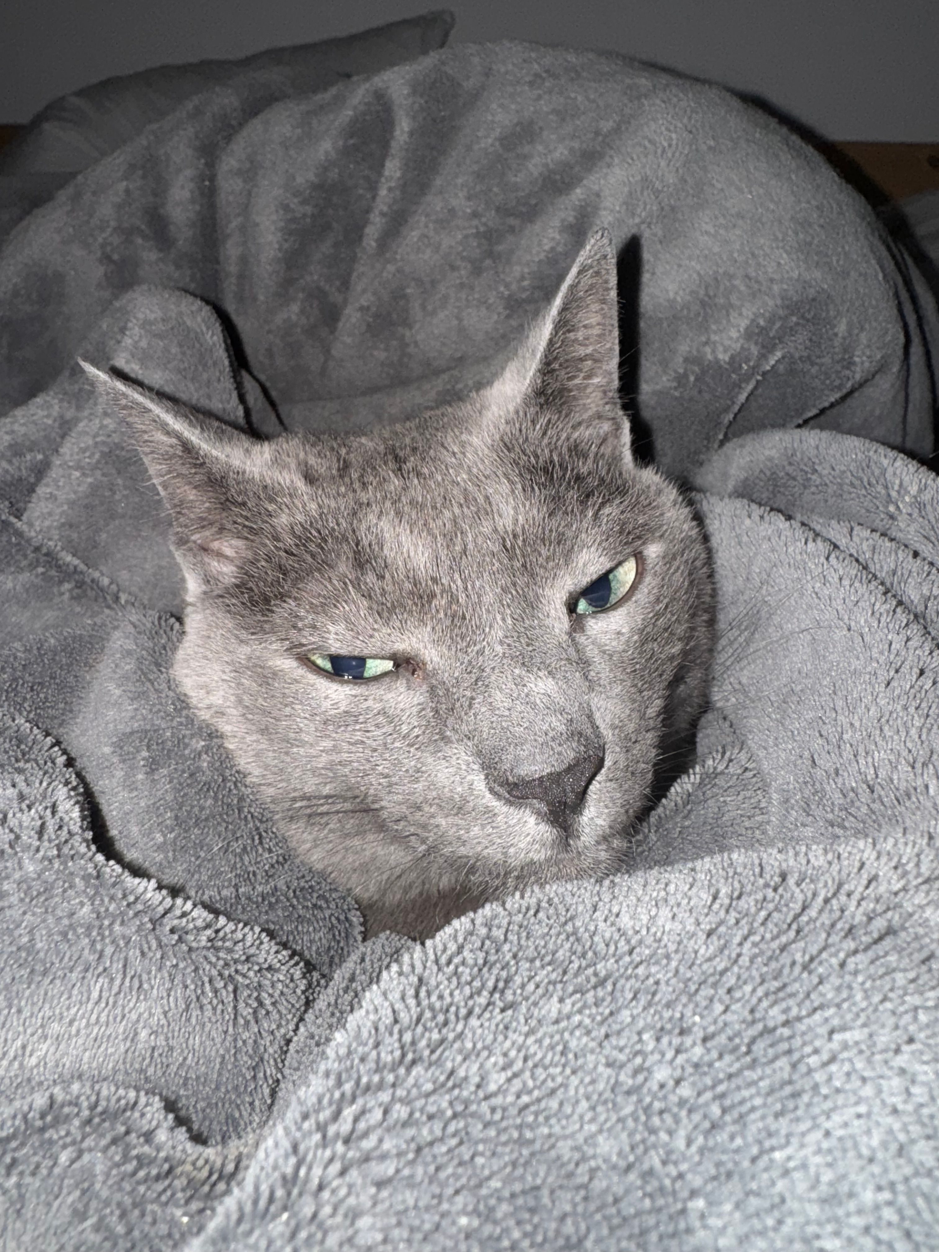 image-7
