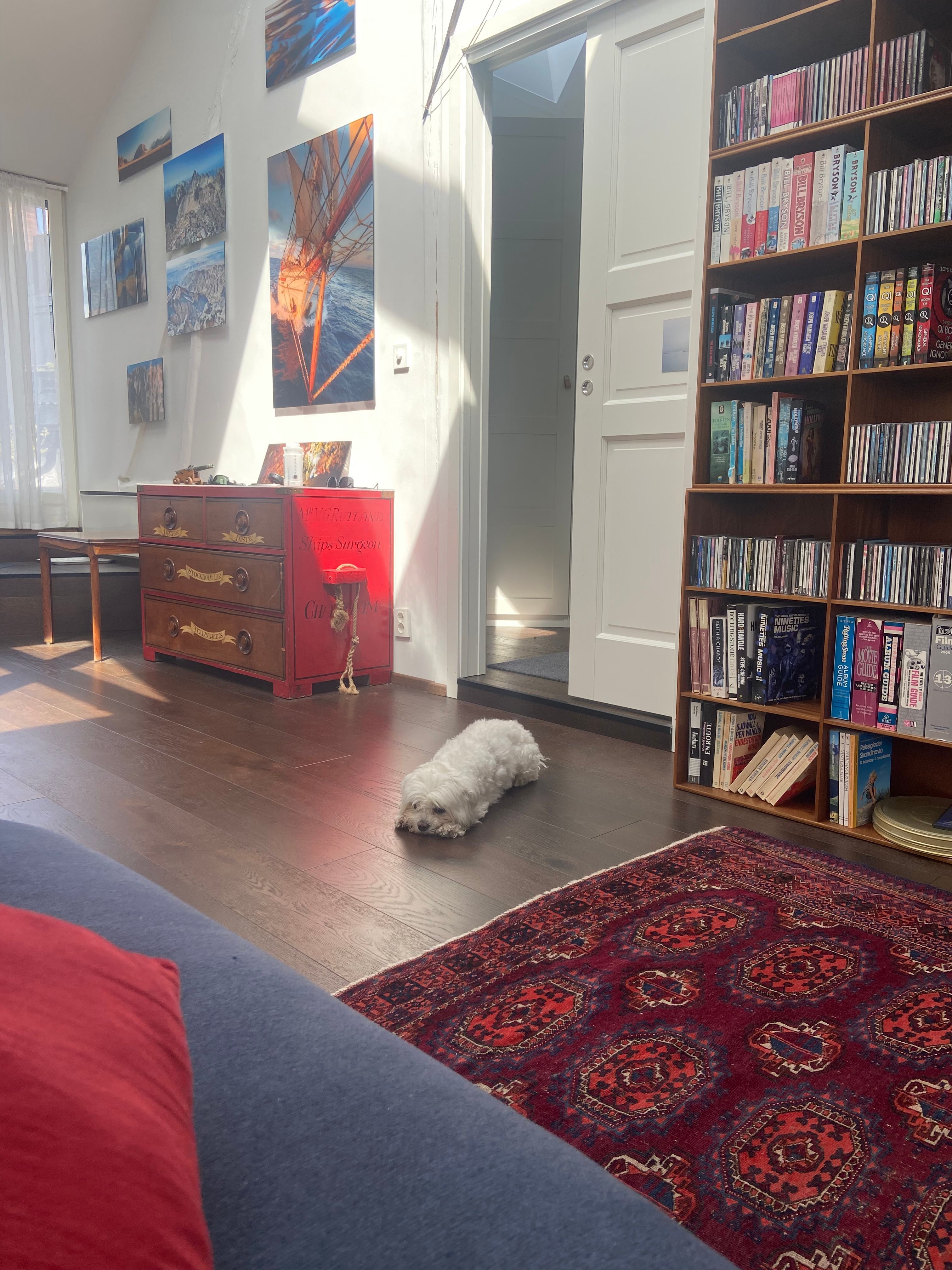 image-14