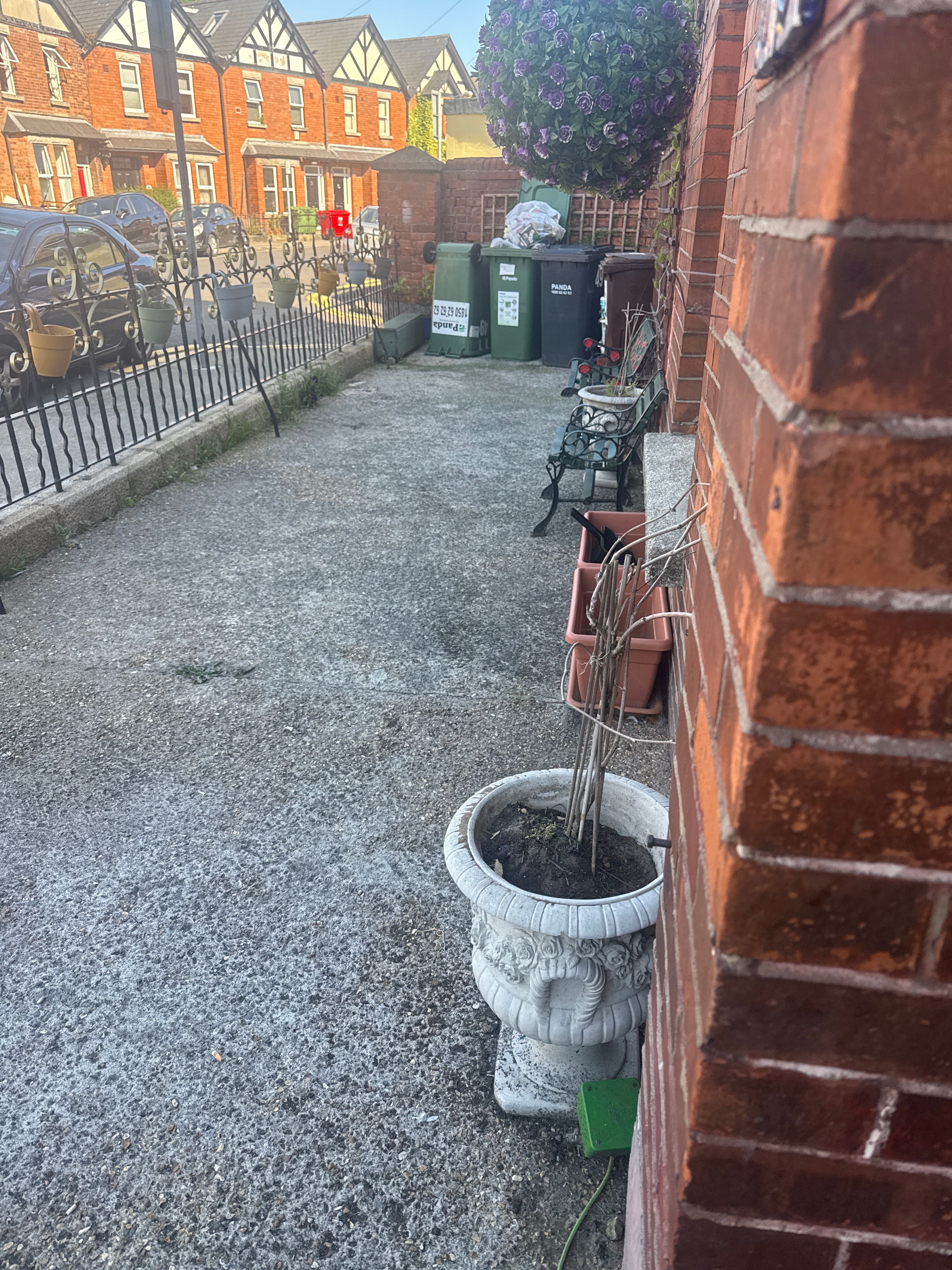 image-16