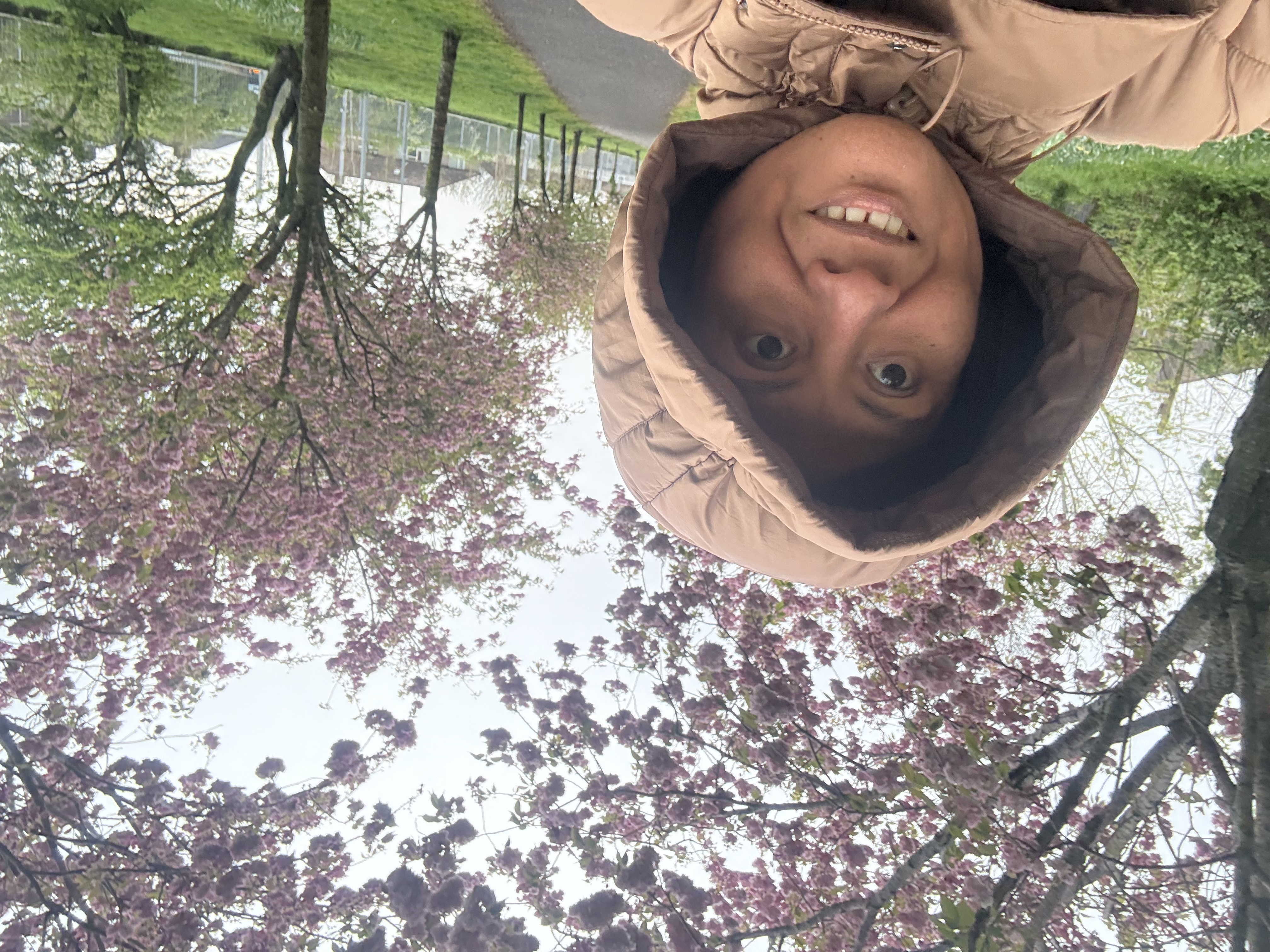 image-17