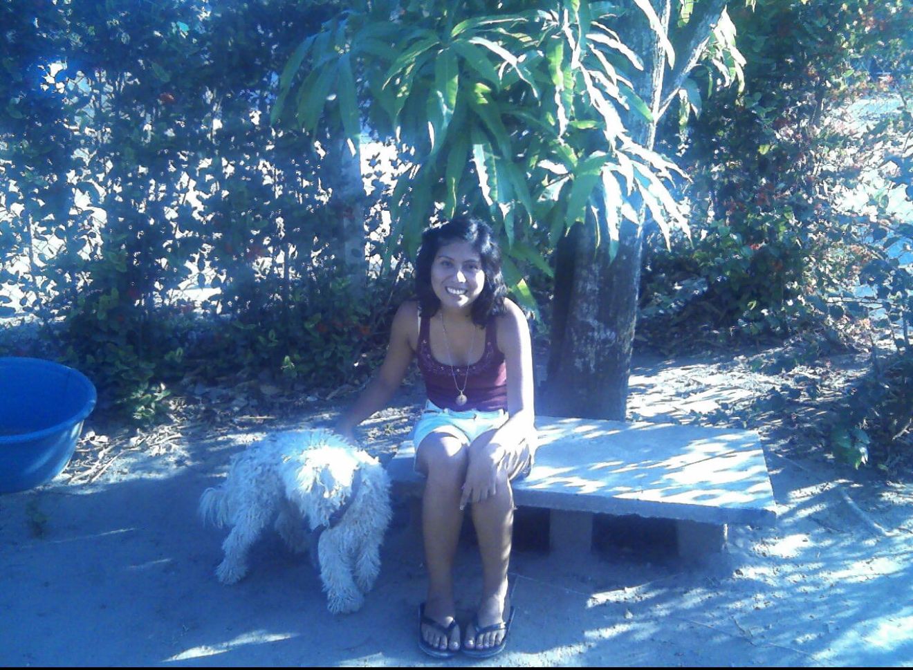 image-5