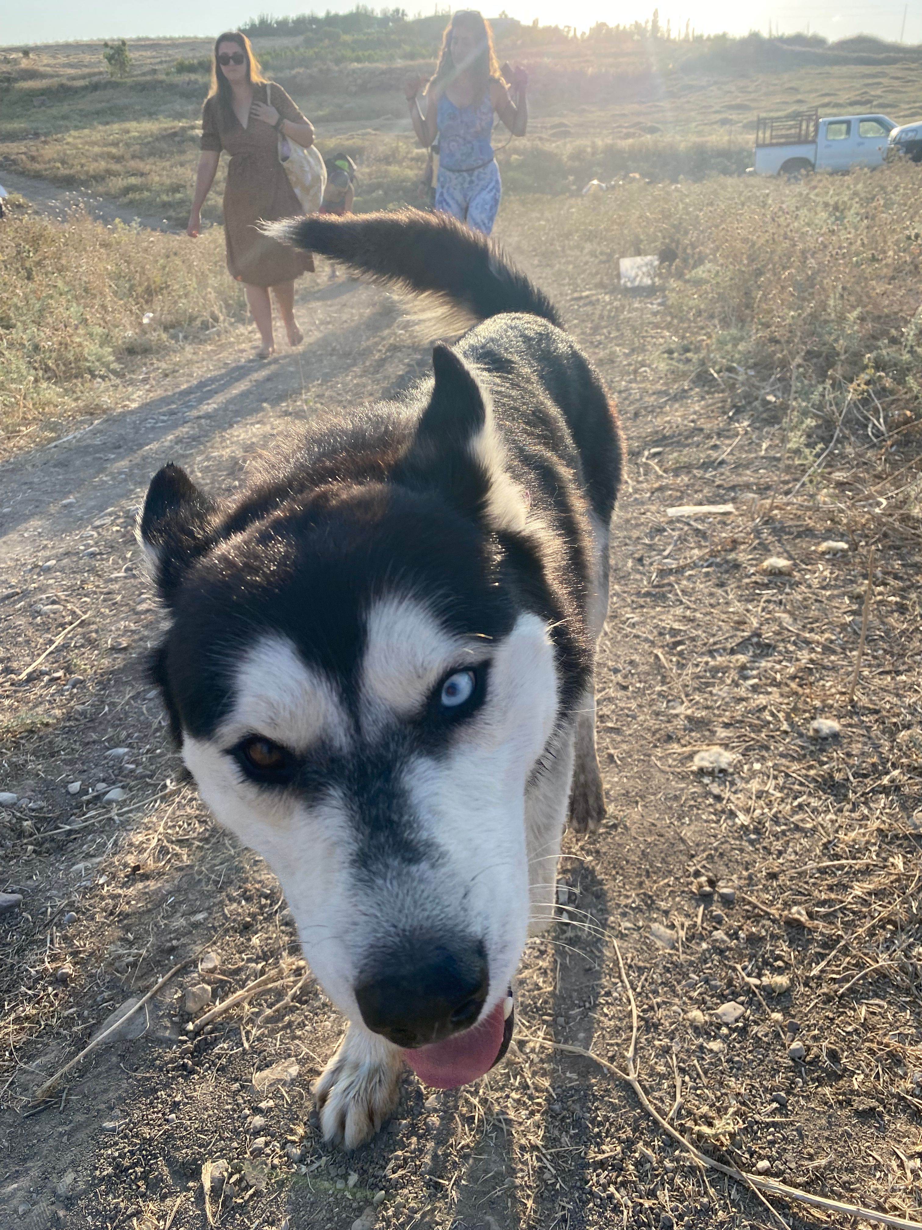 image-14
