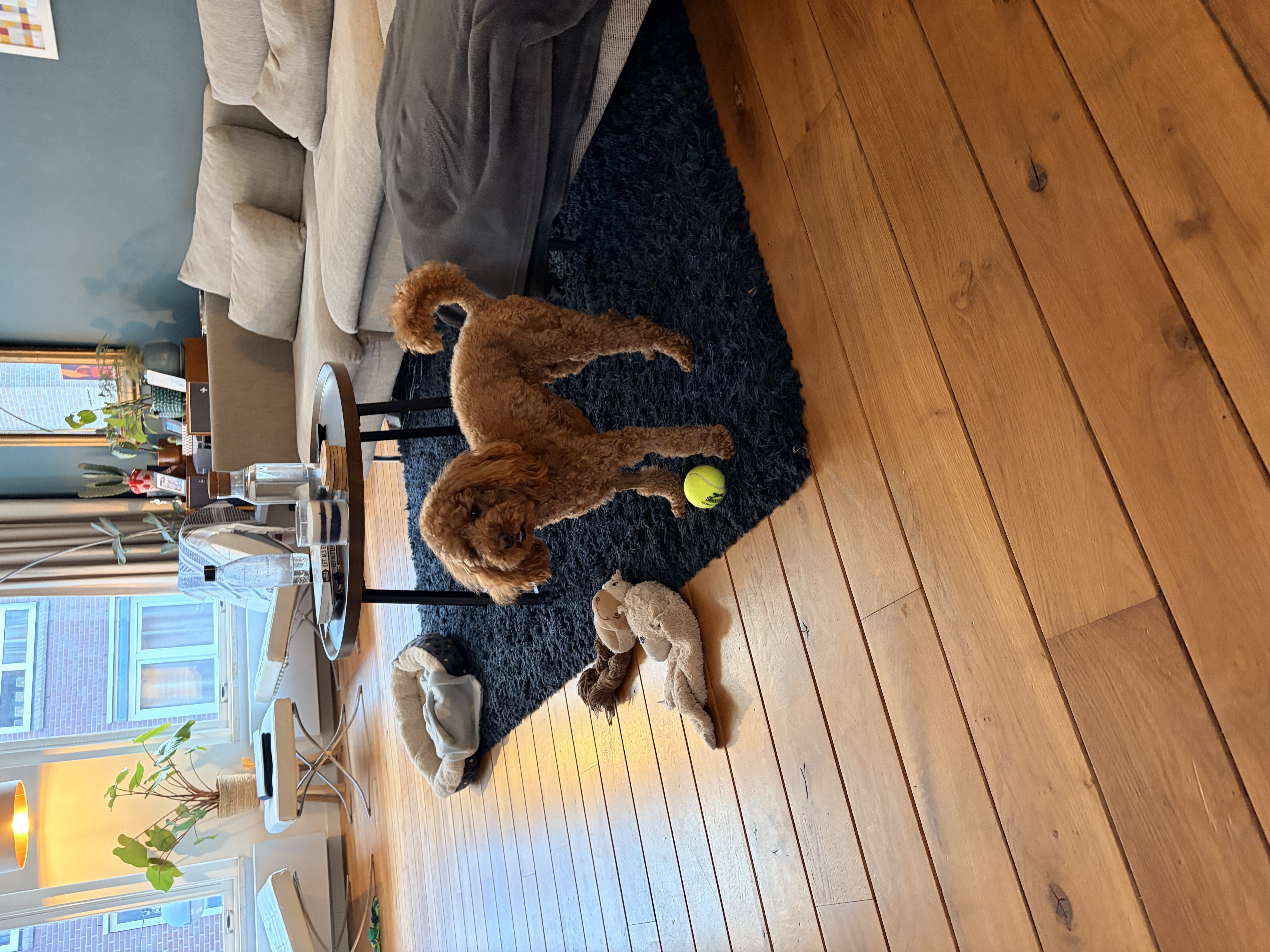 image-12