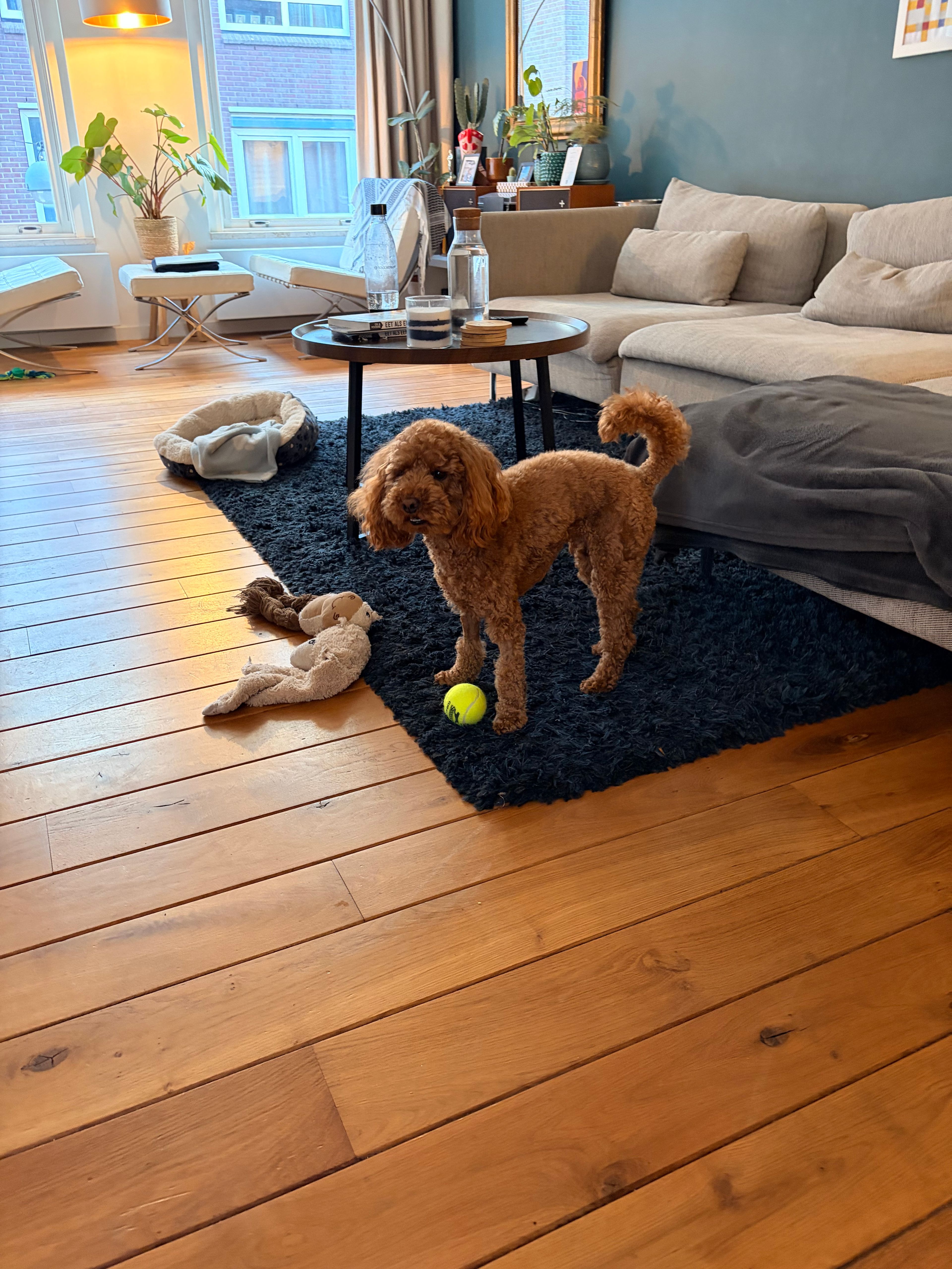 image-12