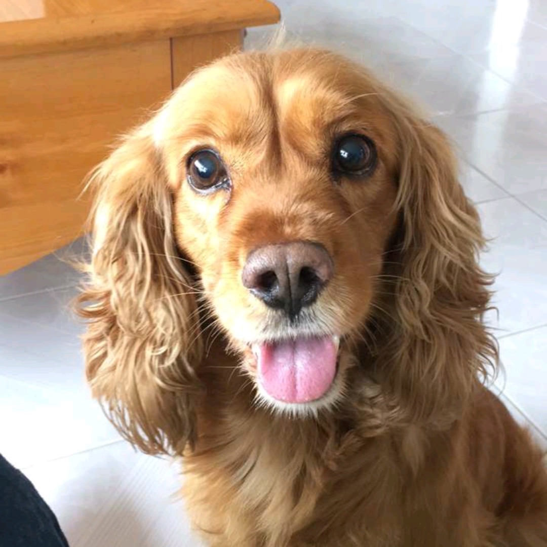 Nico