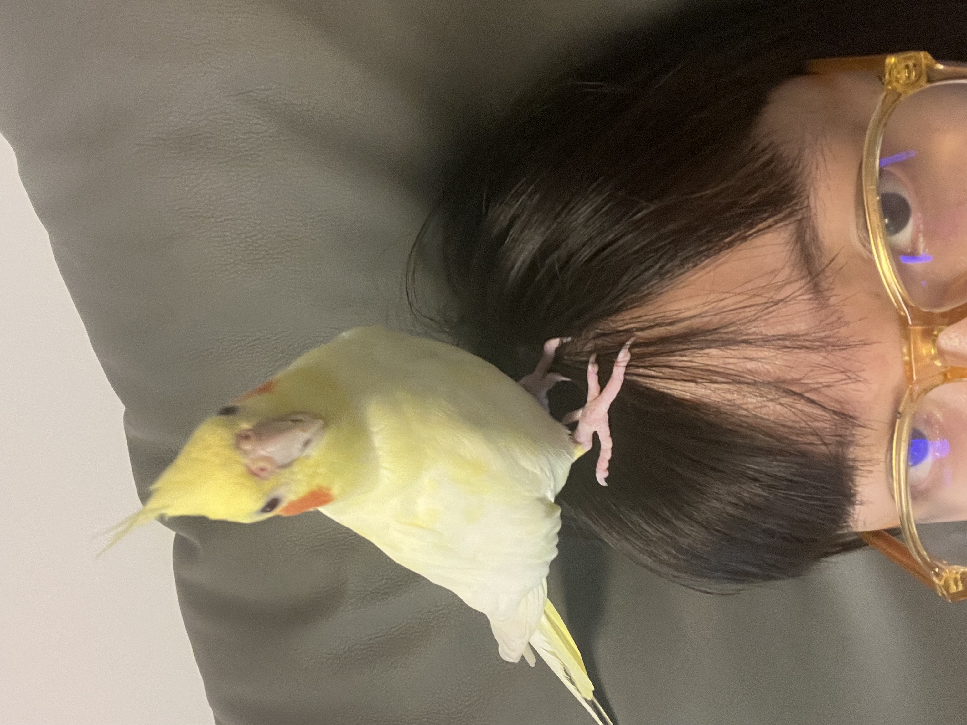 image-14