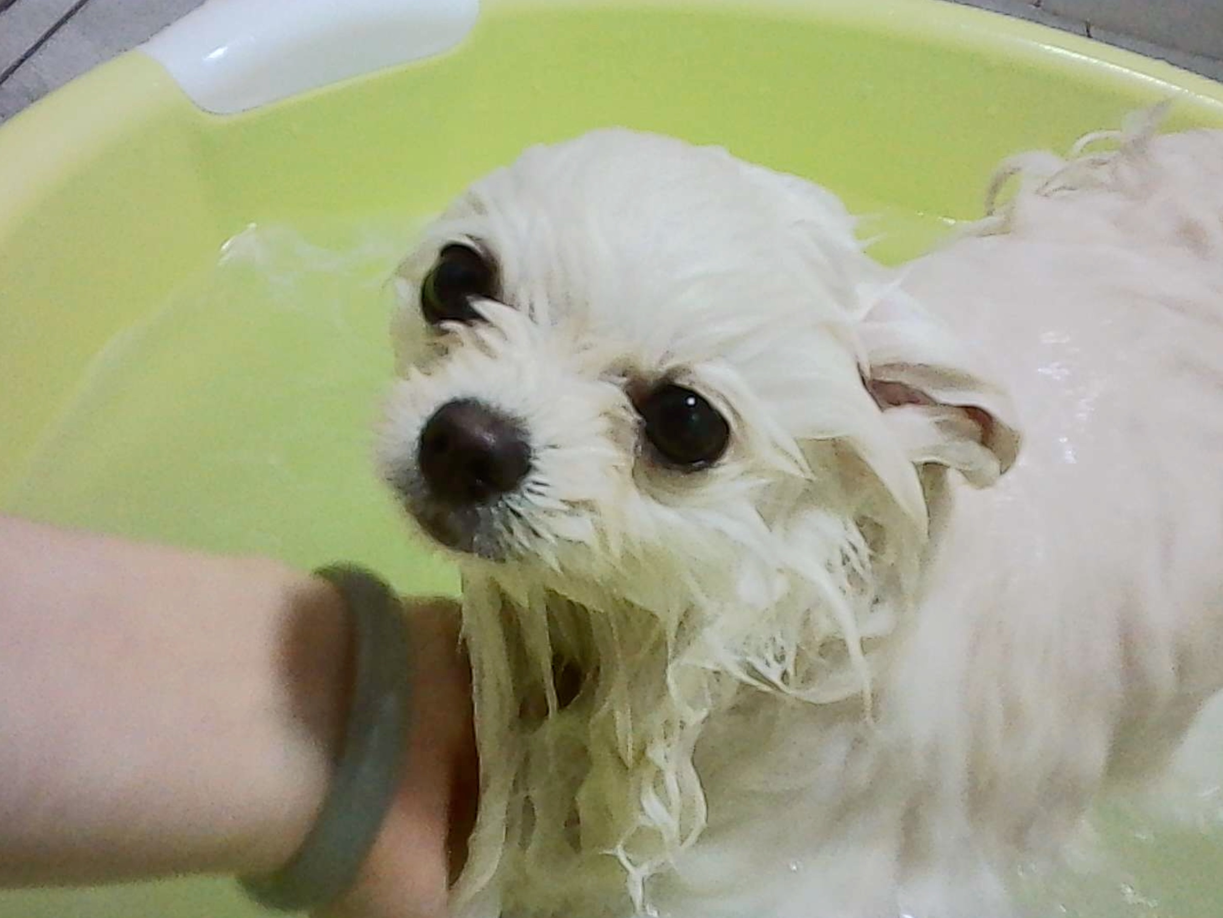 image-9