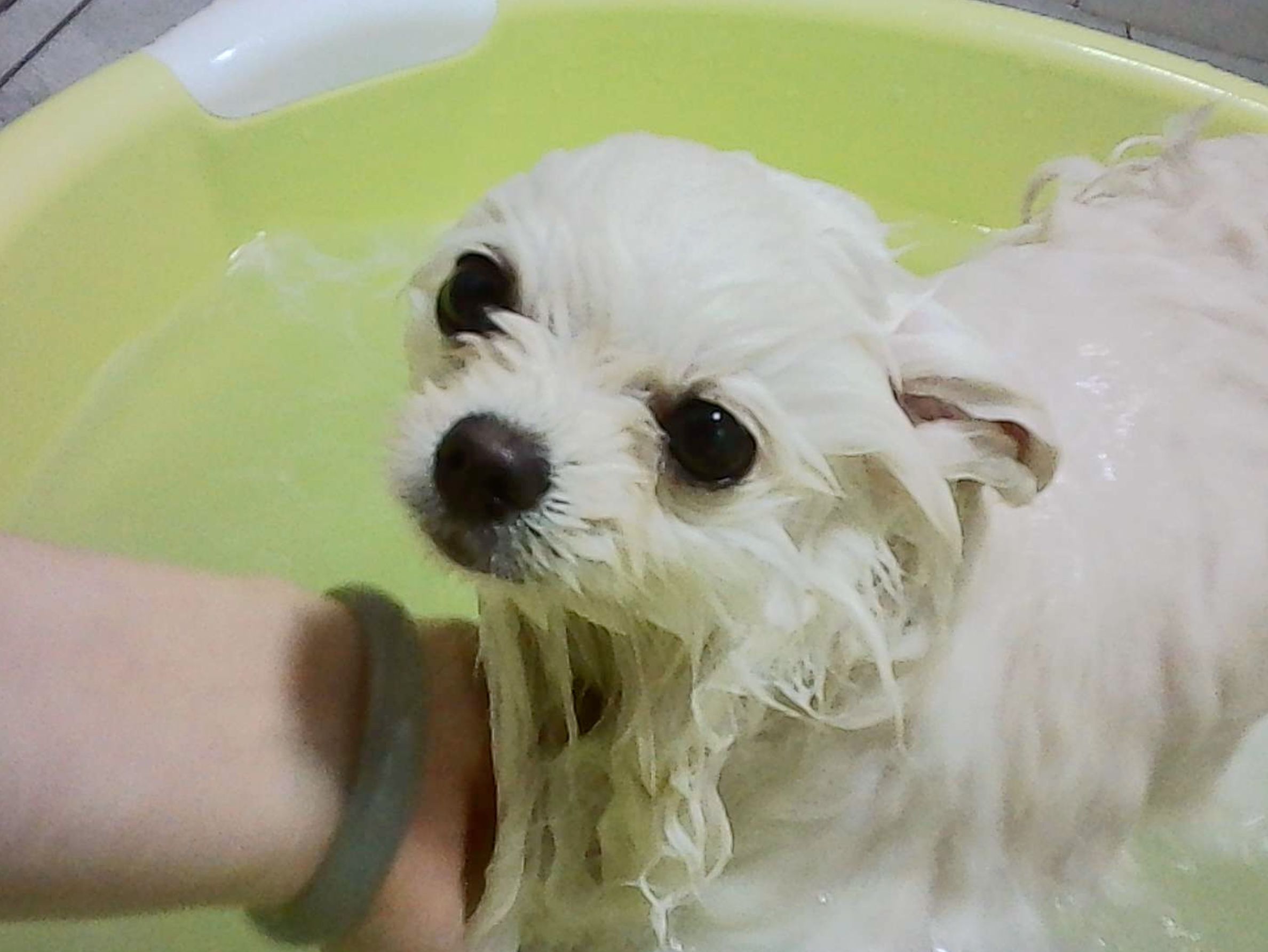 image-9