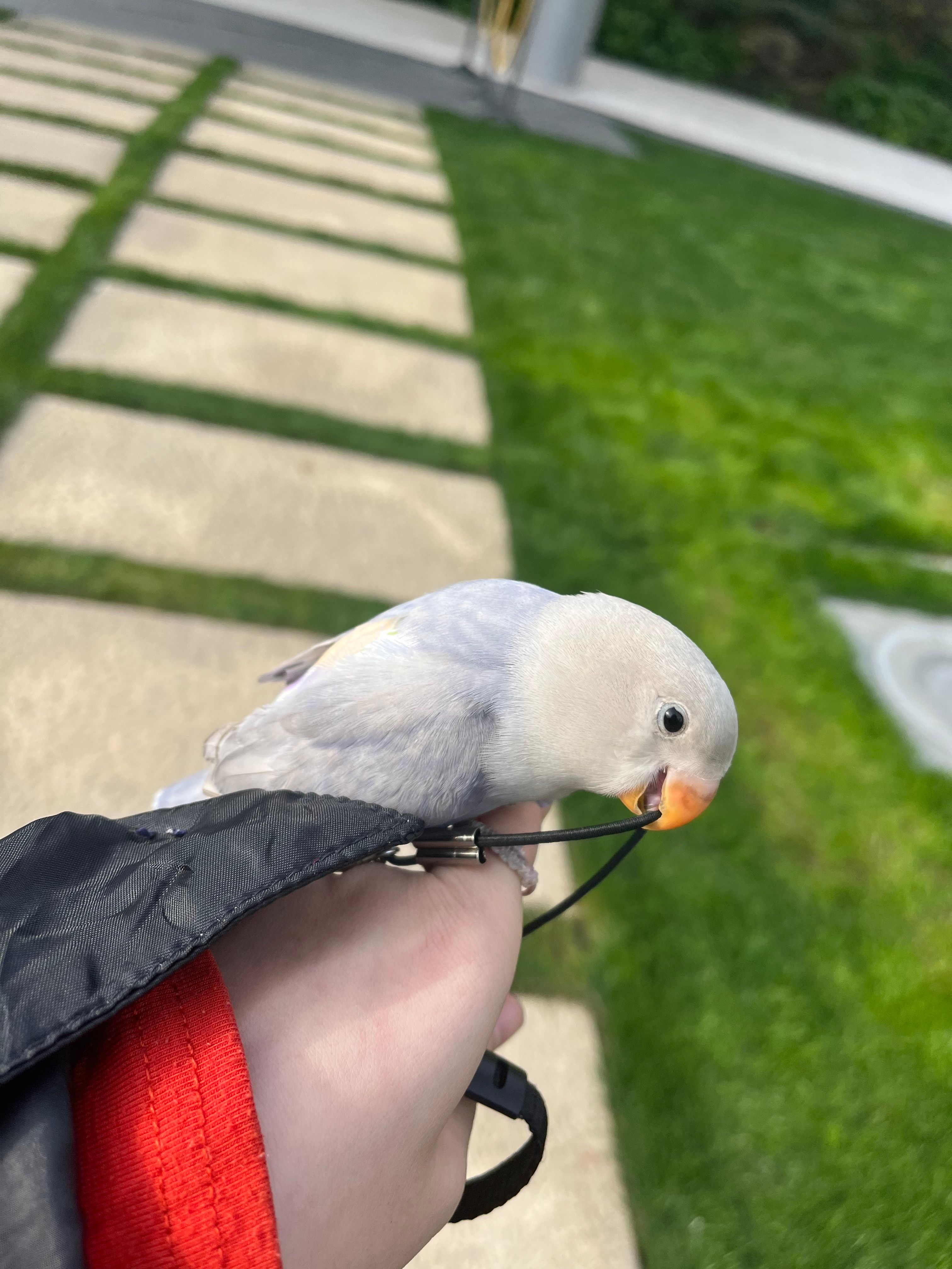 image-15