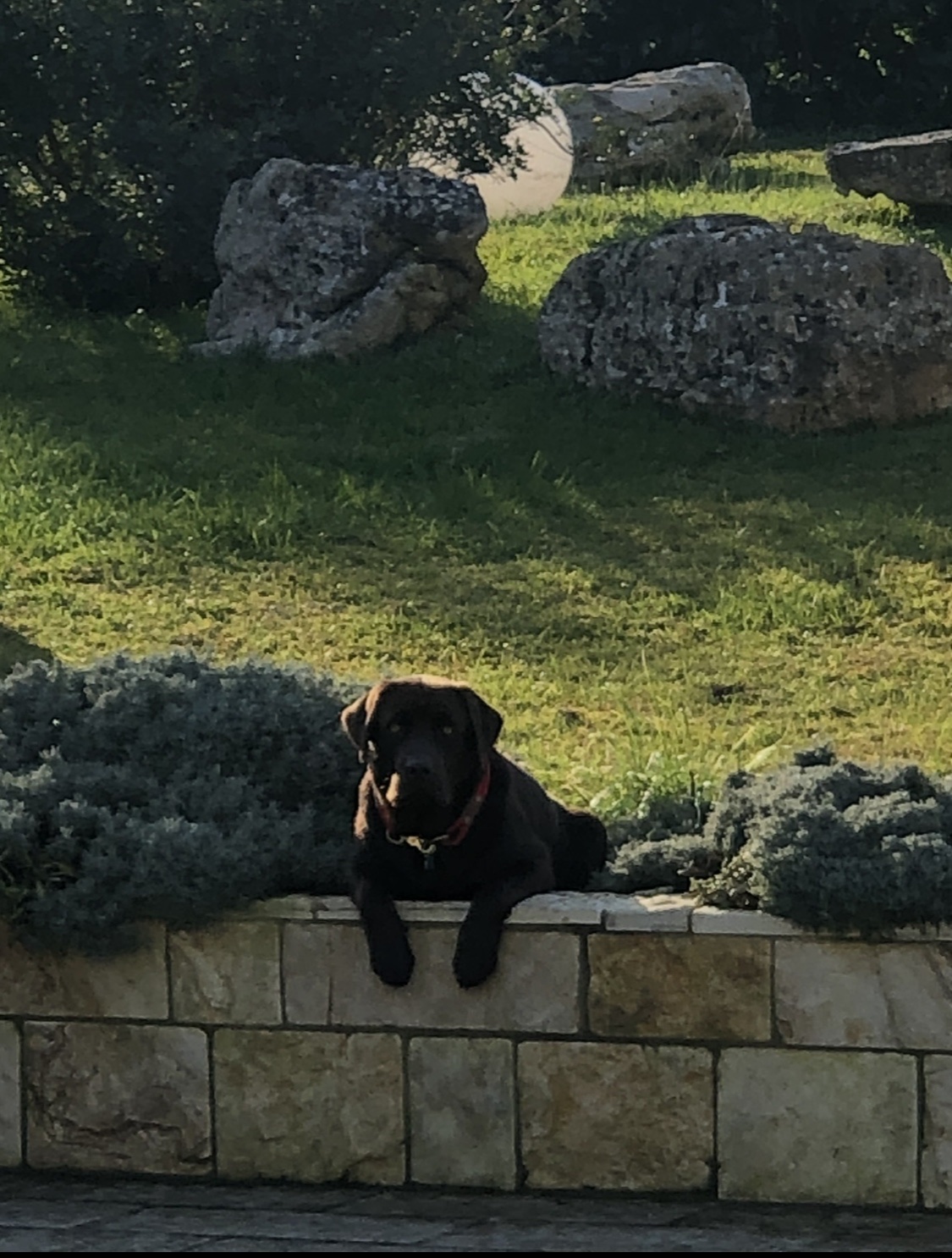image-6