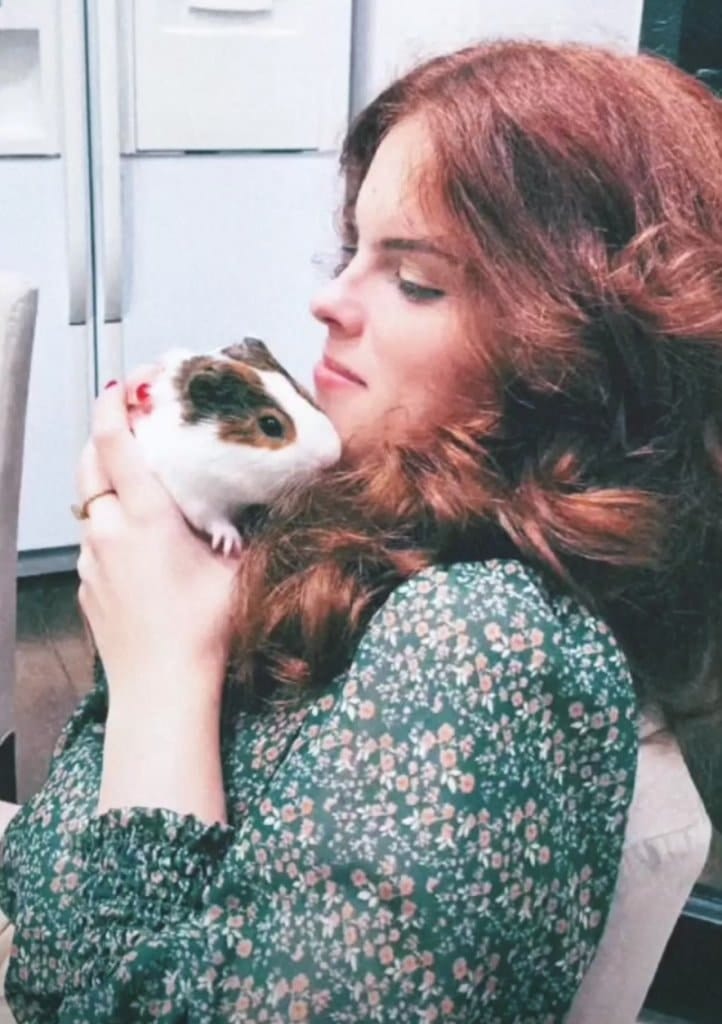 image-2