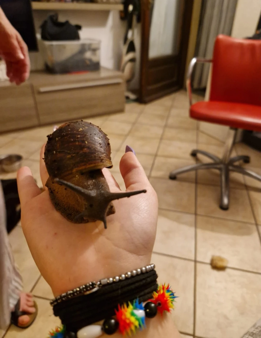 image-12