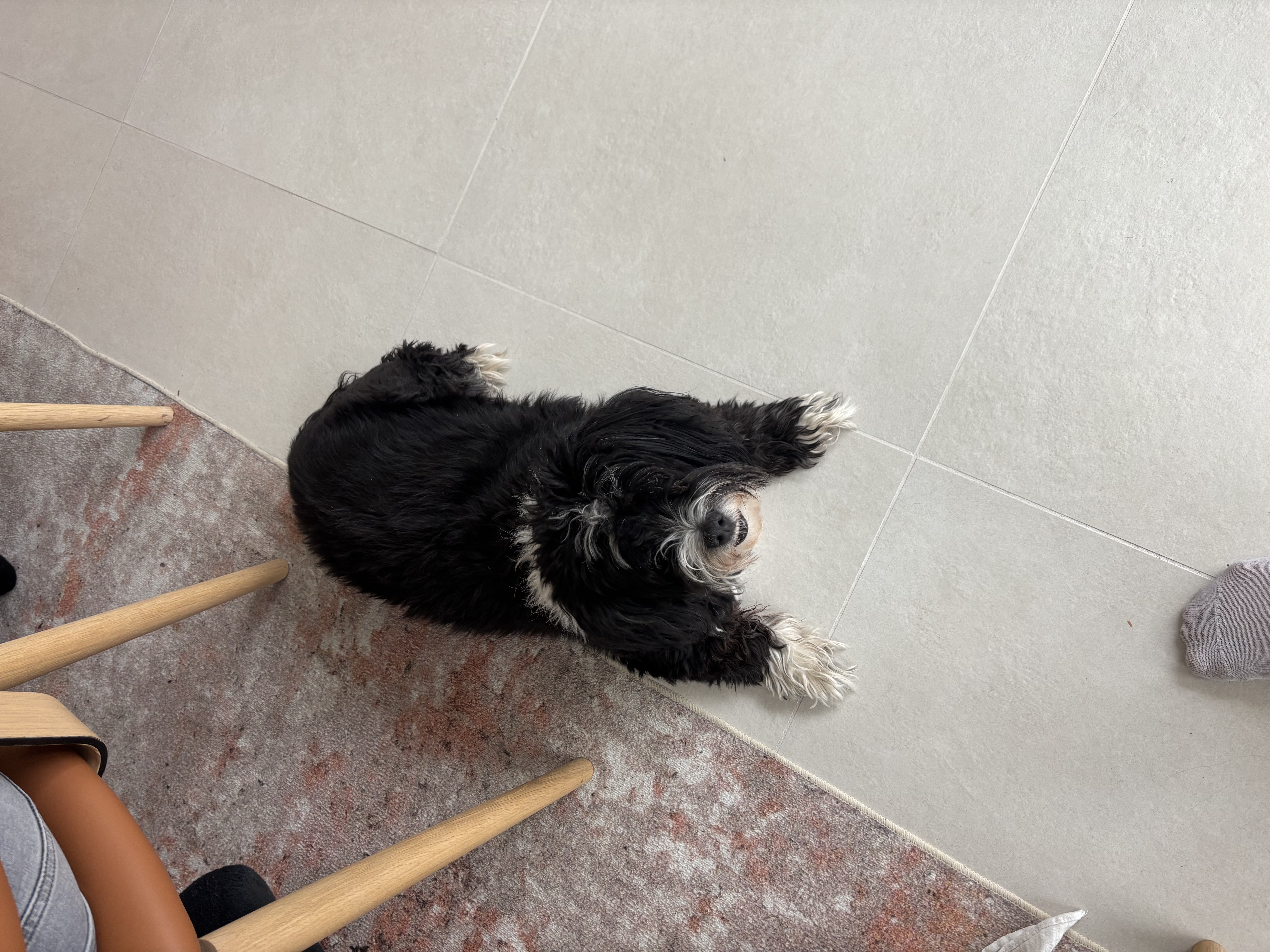 image-7