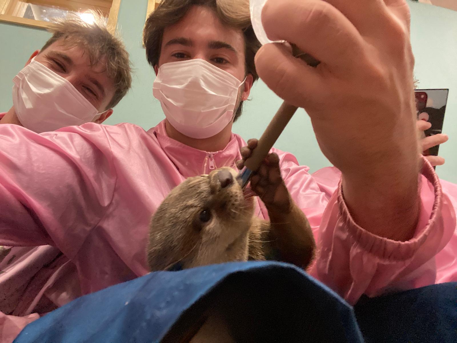image-10