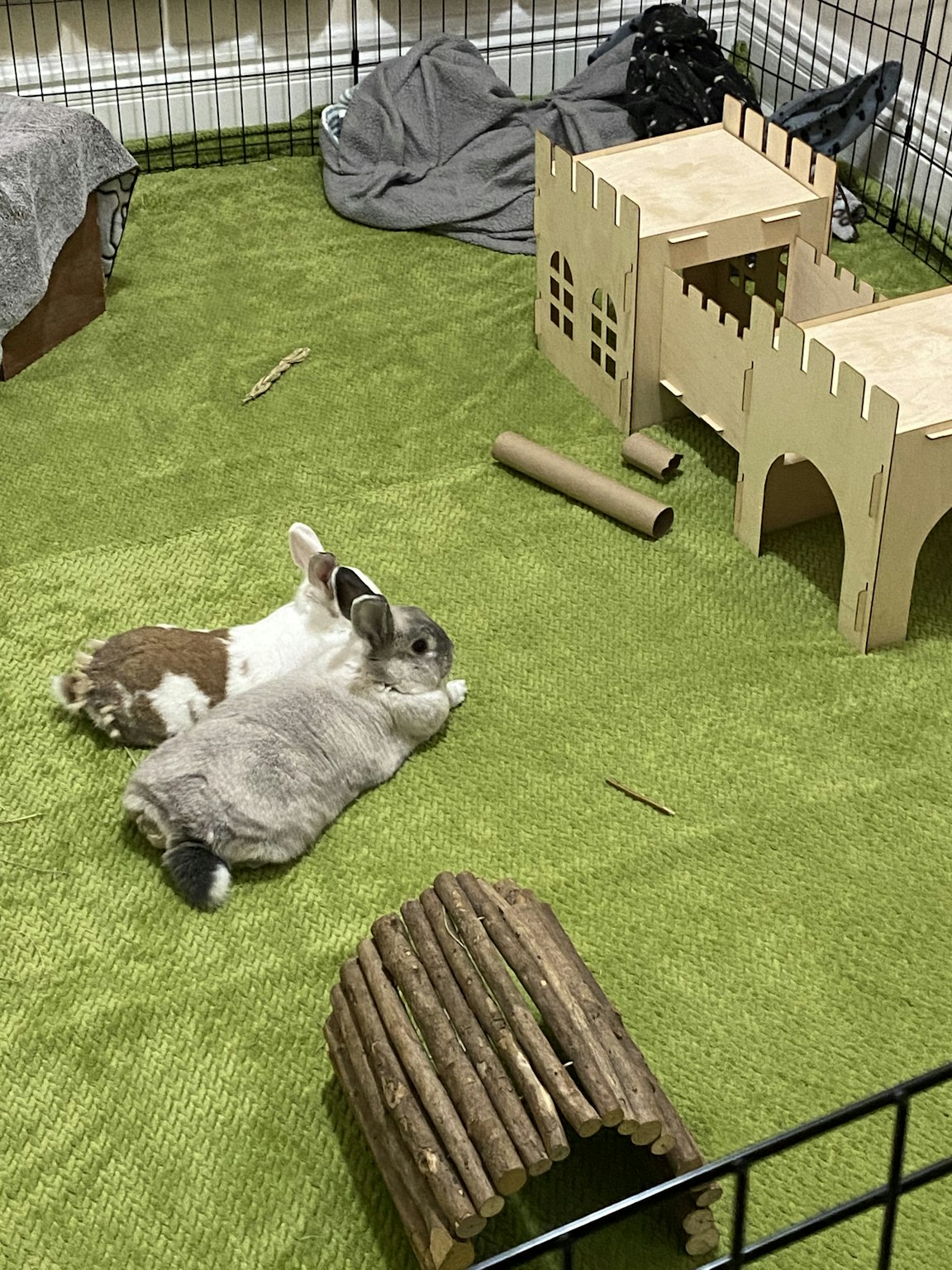 image-12