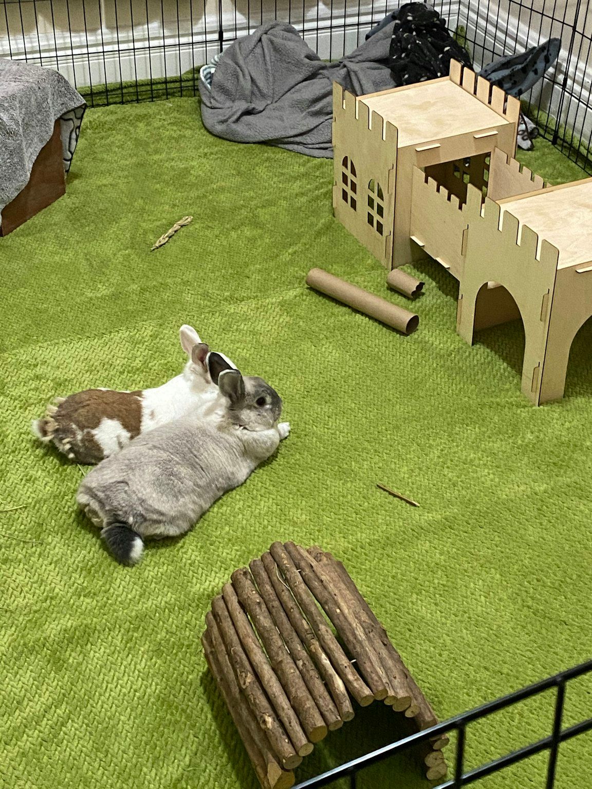 image-12