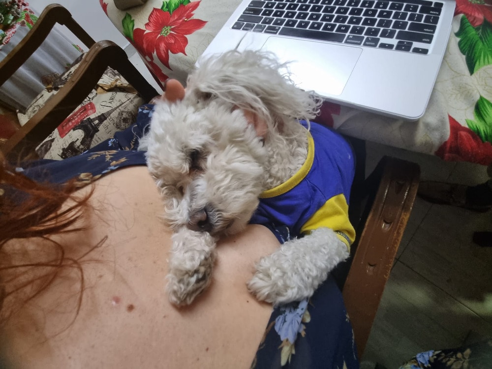 image-6